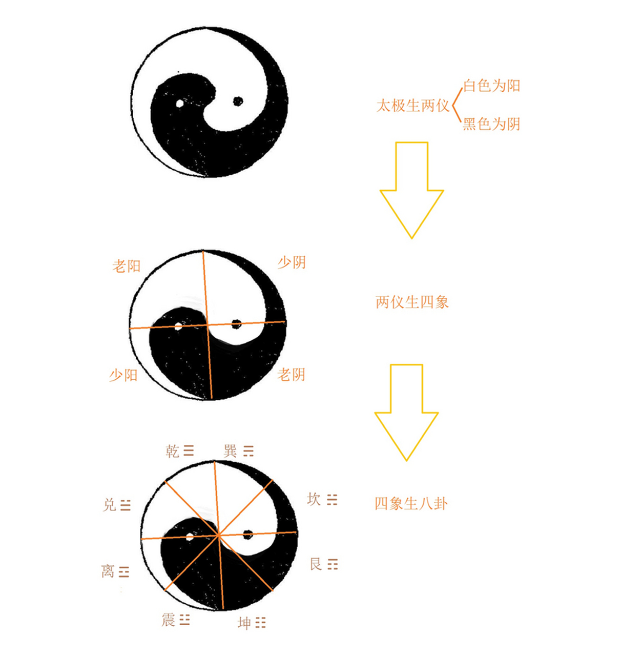 太极阴转太极阳图片