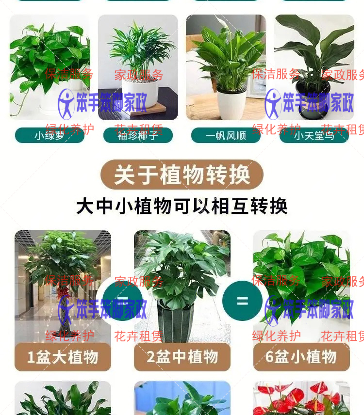 酒店大堂绿植摆放方案图片