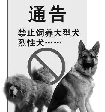 重庆禁养犬2022图片