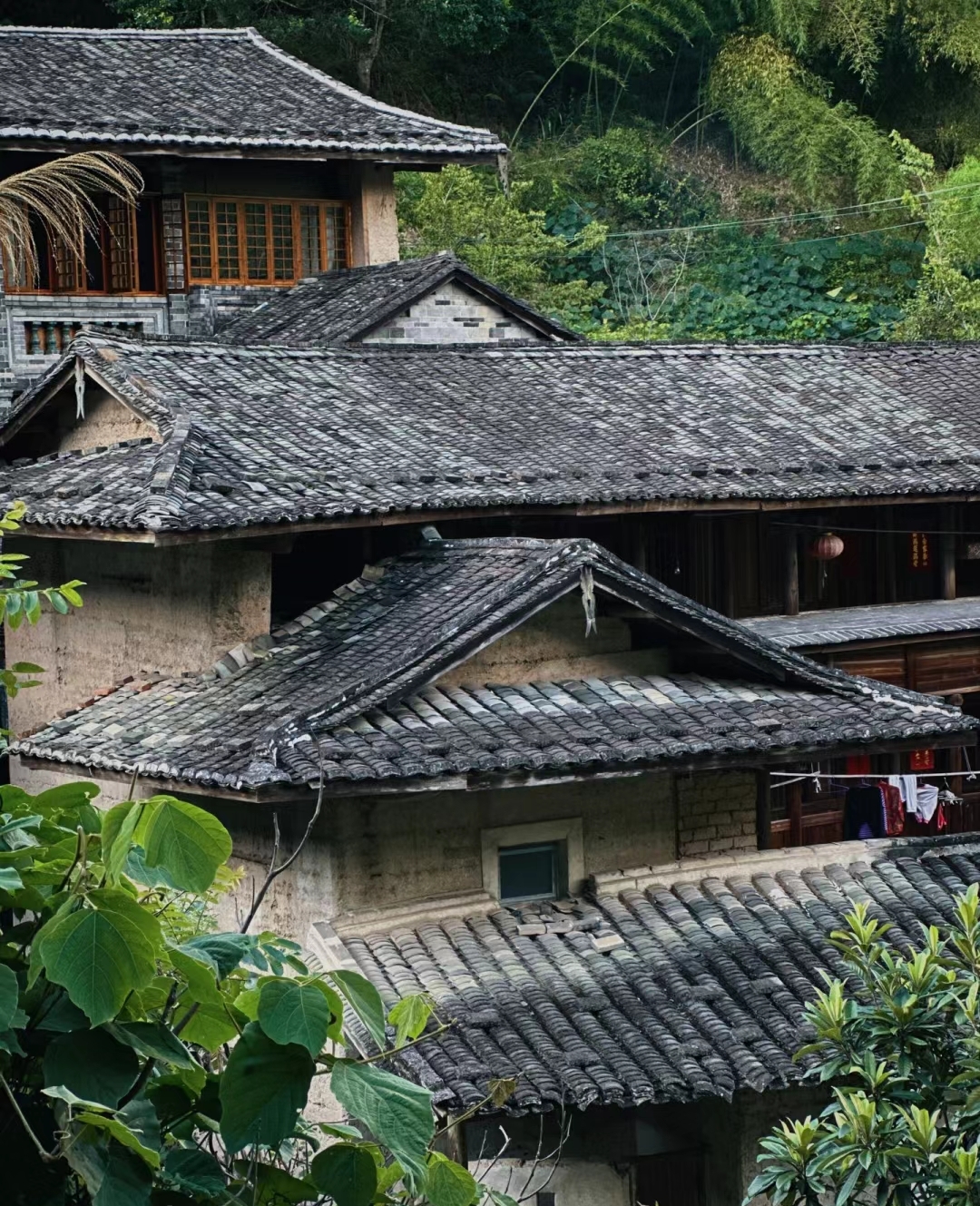 太极水乡——塔下村