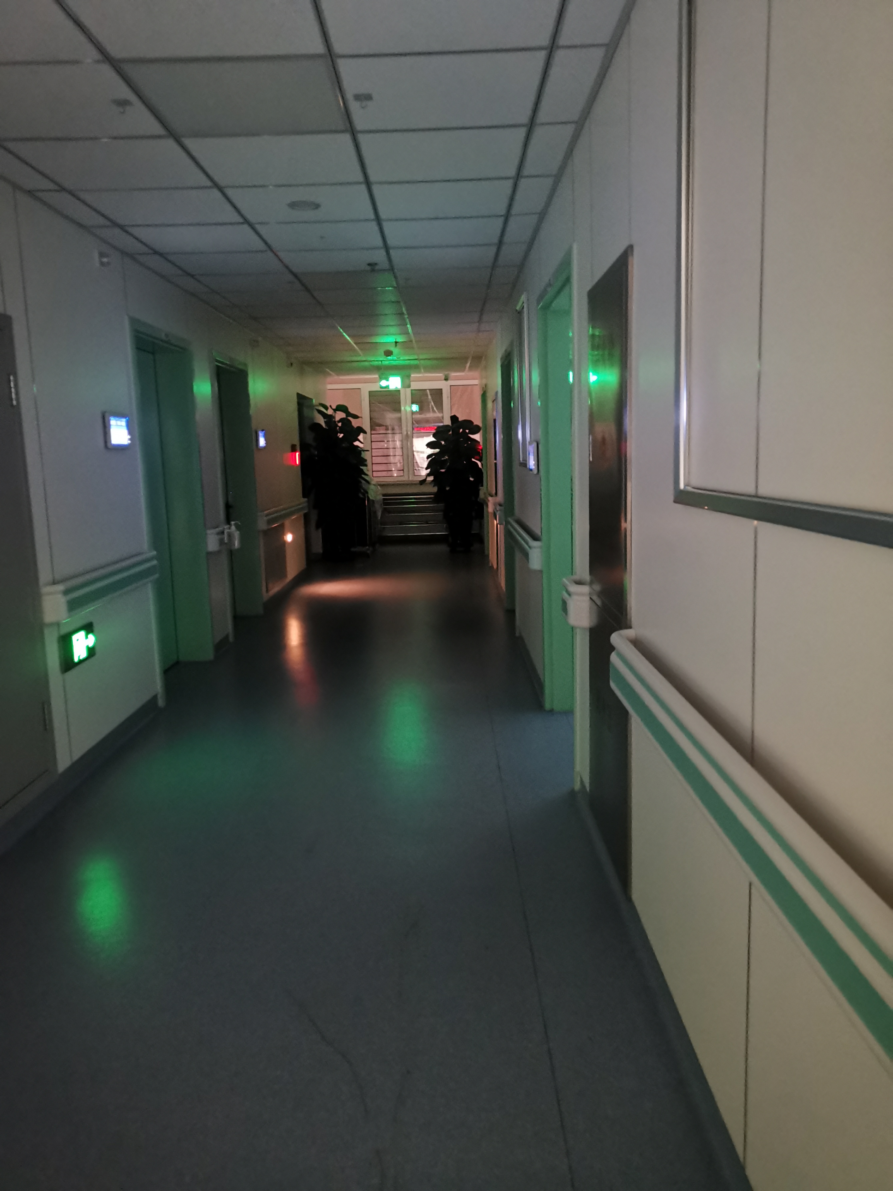 本来我在这几年里,对事情不大做打算,工作和涉及别人的除外