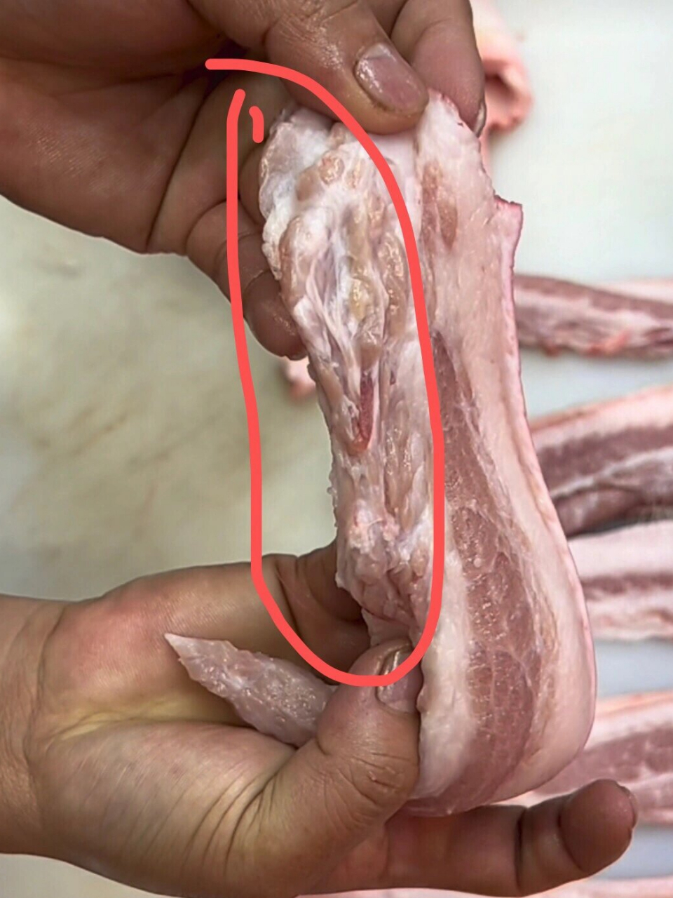 淋巴是免疫器官,负责识别细菌,病毒等物质.