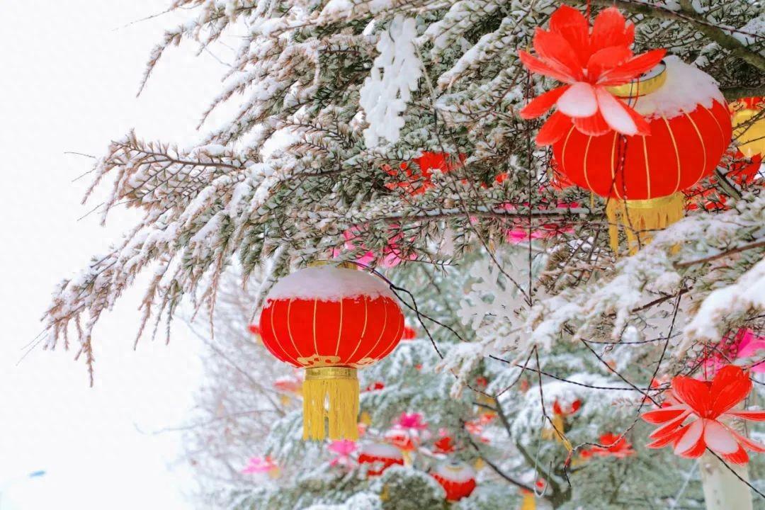 寒酥仙藻玉龍舞雪落花燈又一年