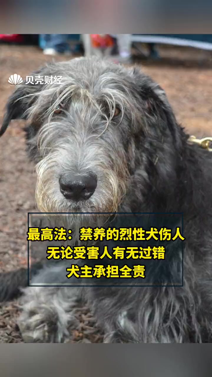 烈犬伤人图片