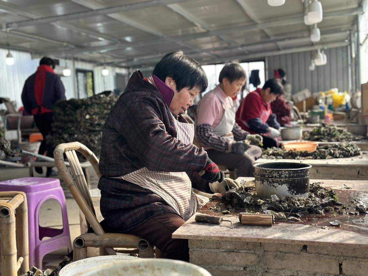 宁海西店妹子图片