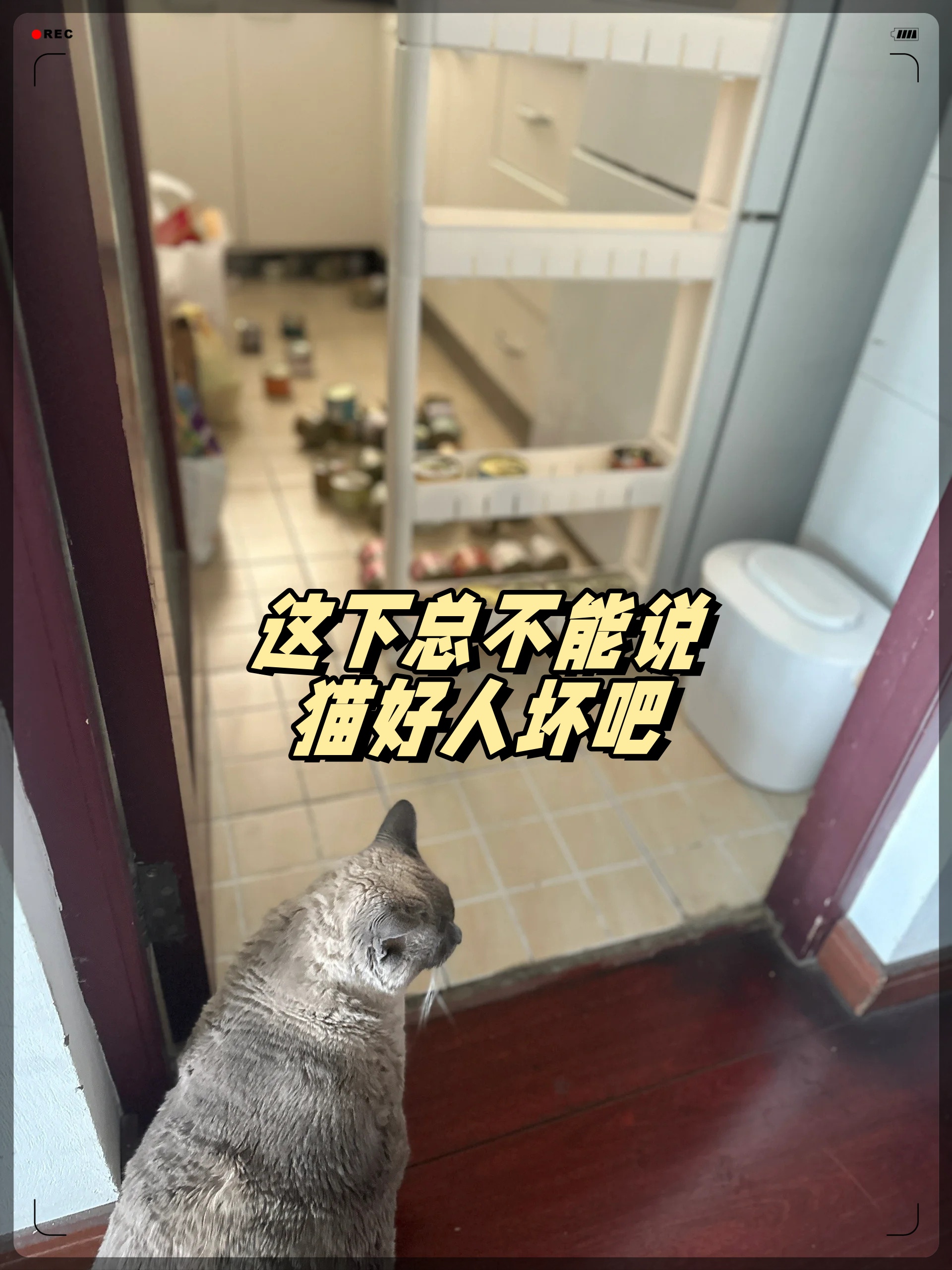 带个向日葵惩罚一下