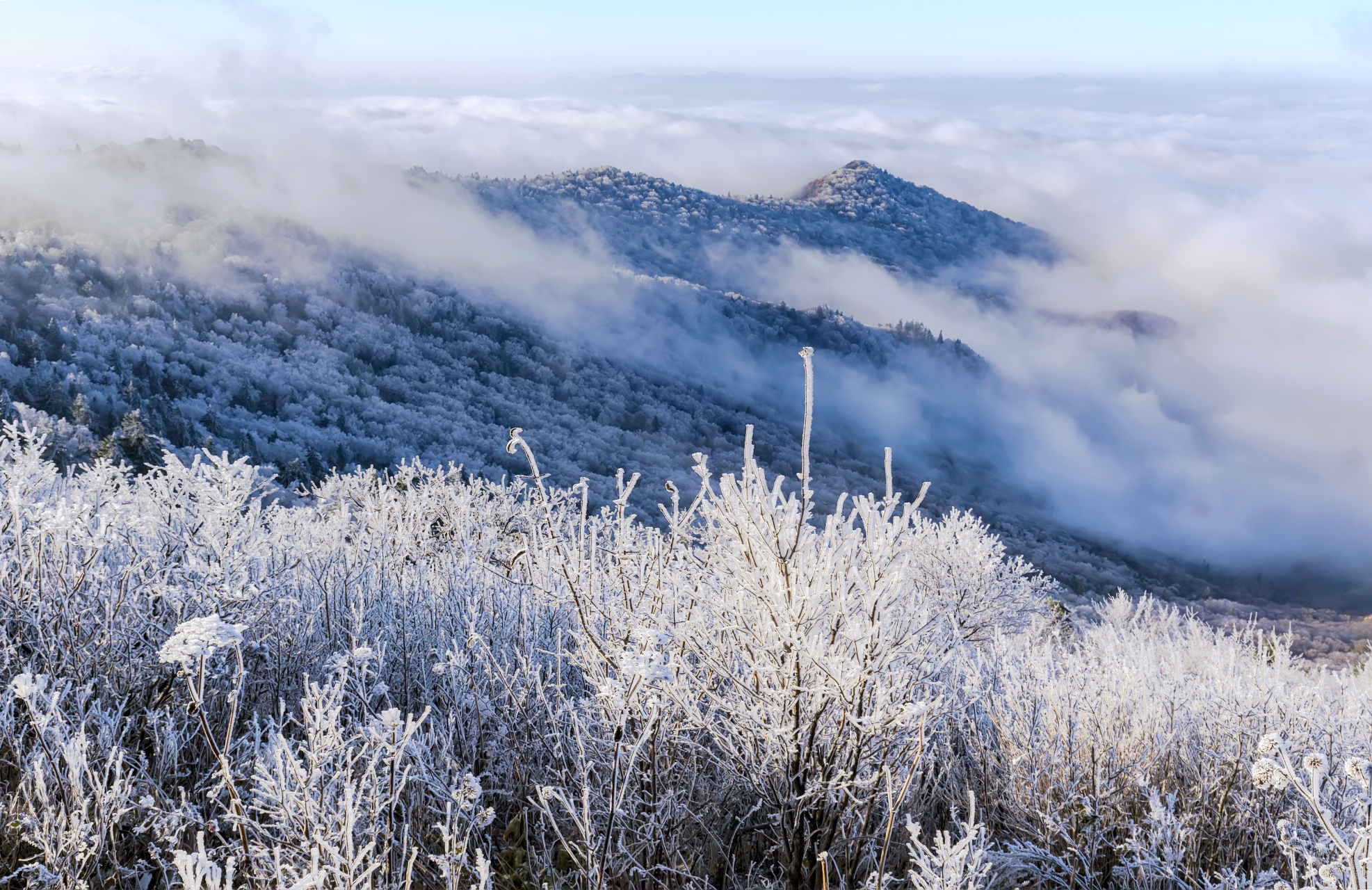 冬日岗山#新时代六地辽宁杠杠滴# #美好辽宁欢迎您# #振兴新突破辽宁
