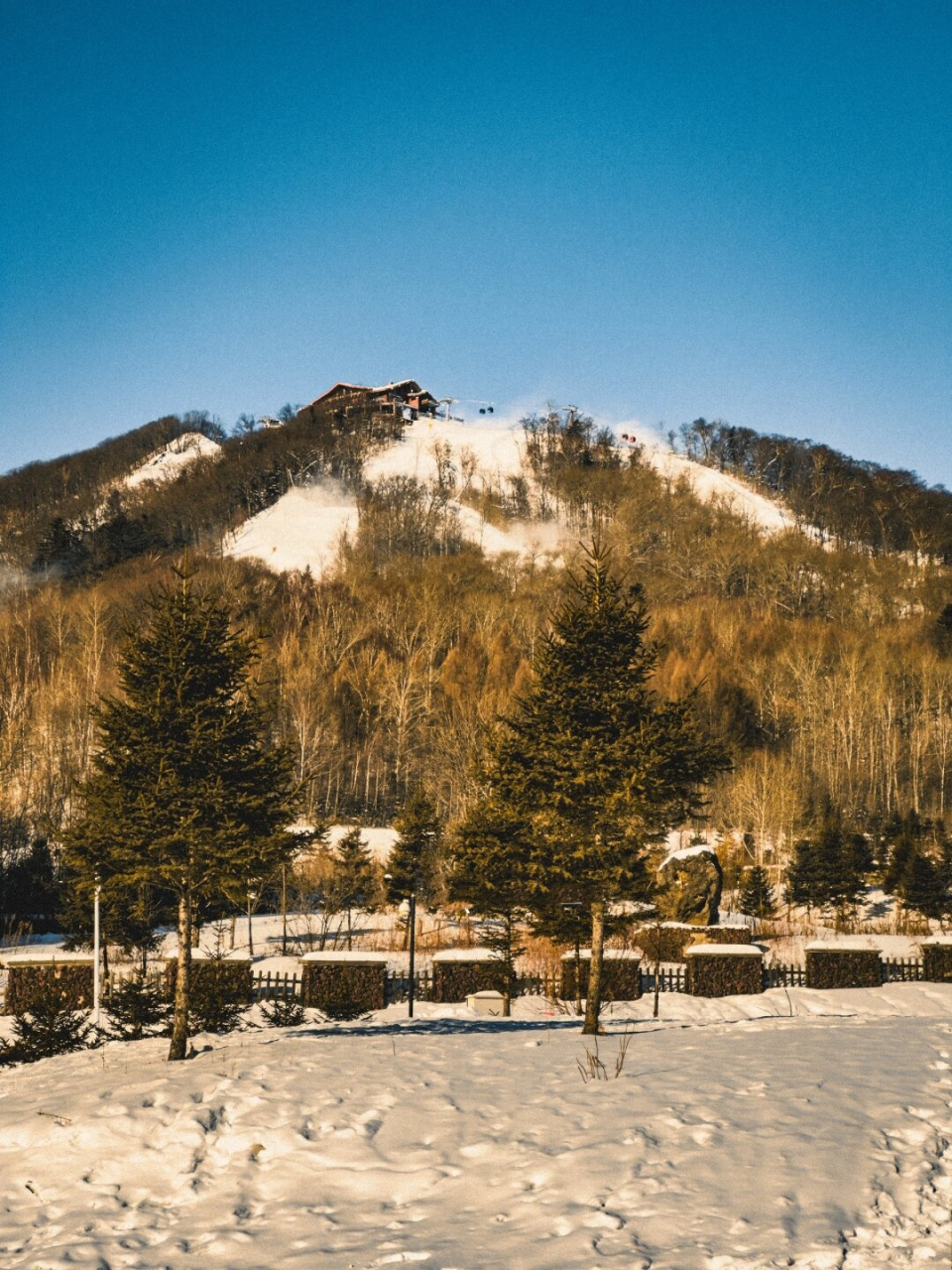 富士山和长白山图片