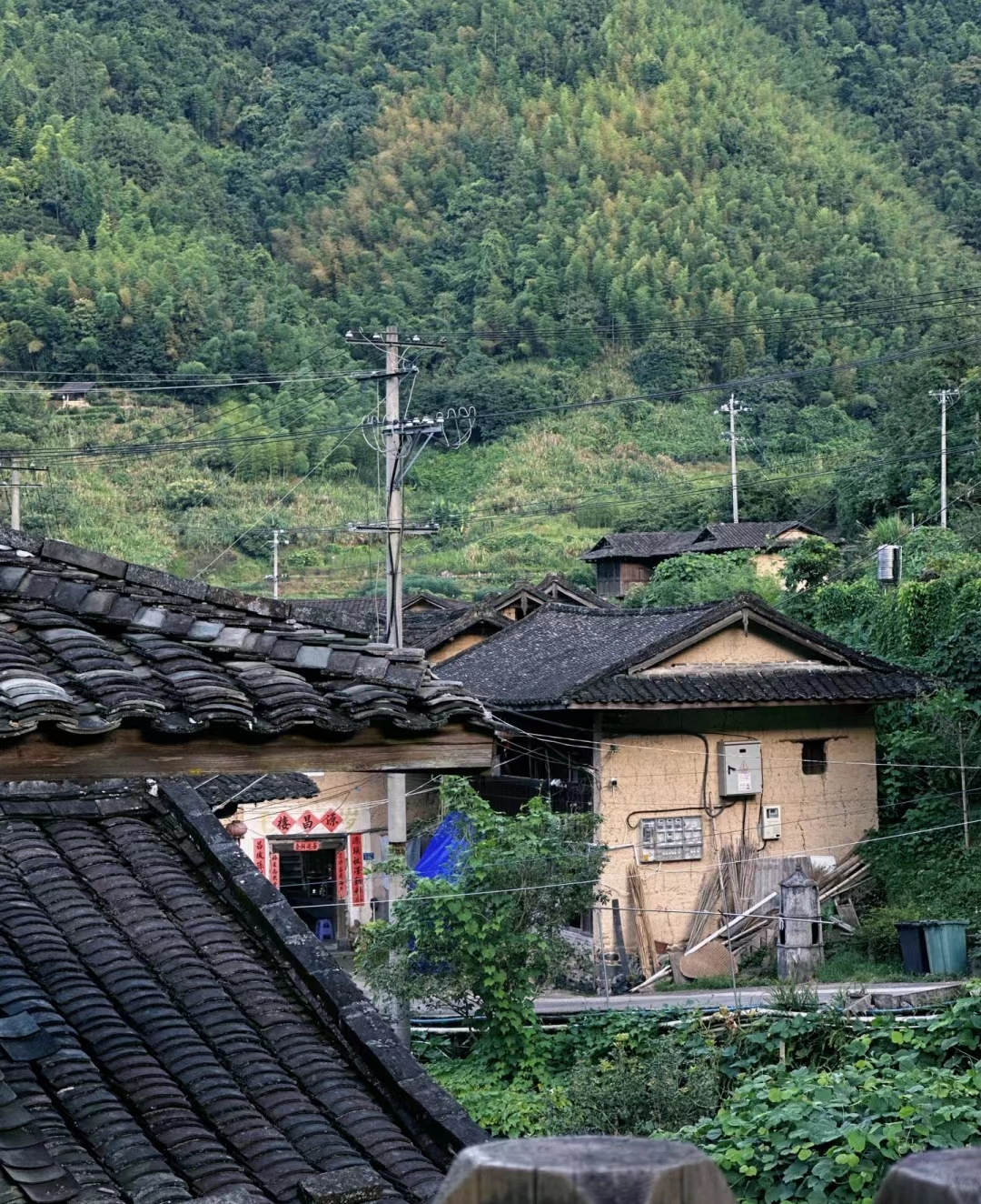 太极水乡——塔下村