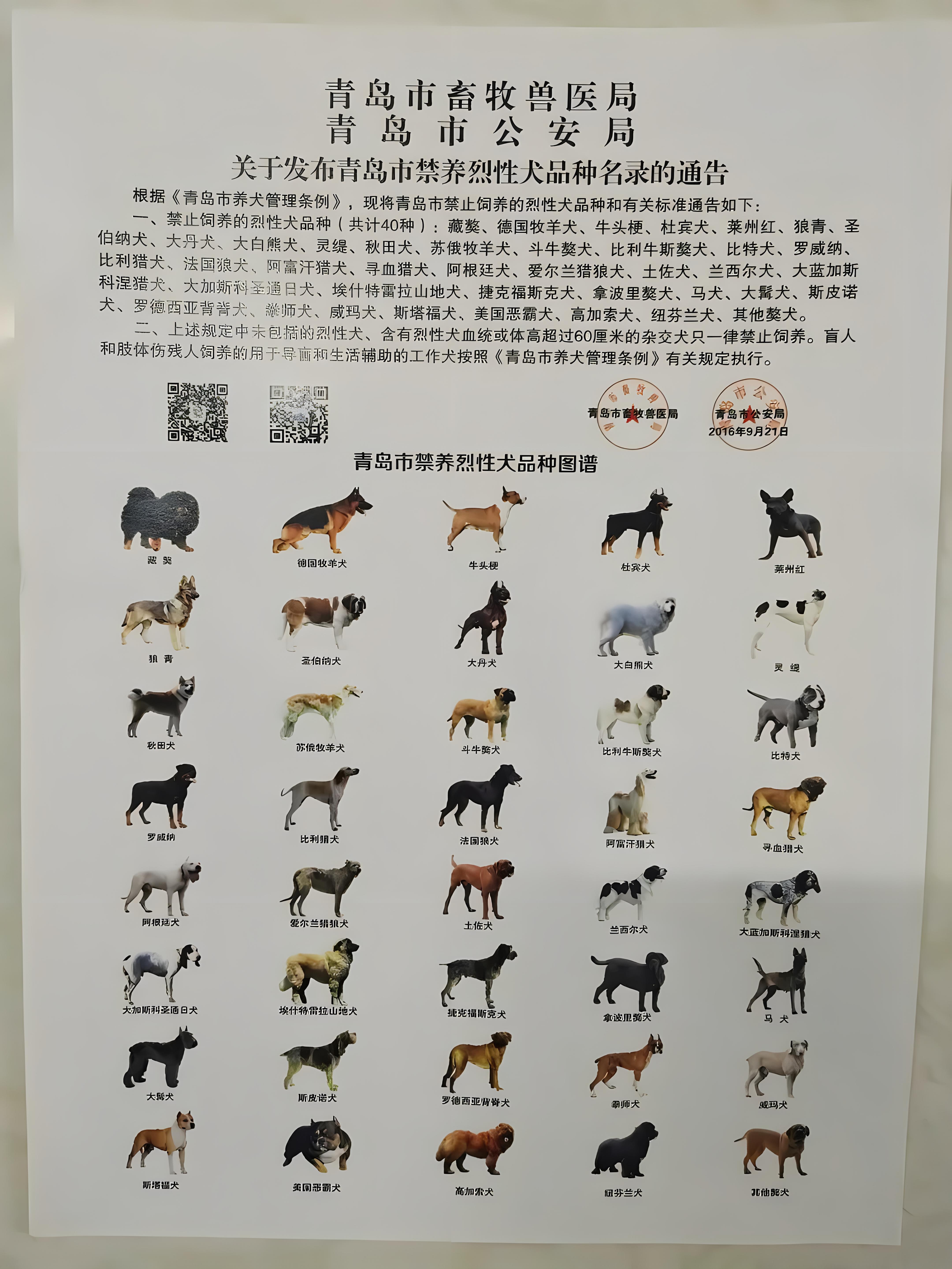 烈犬伤人图片