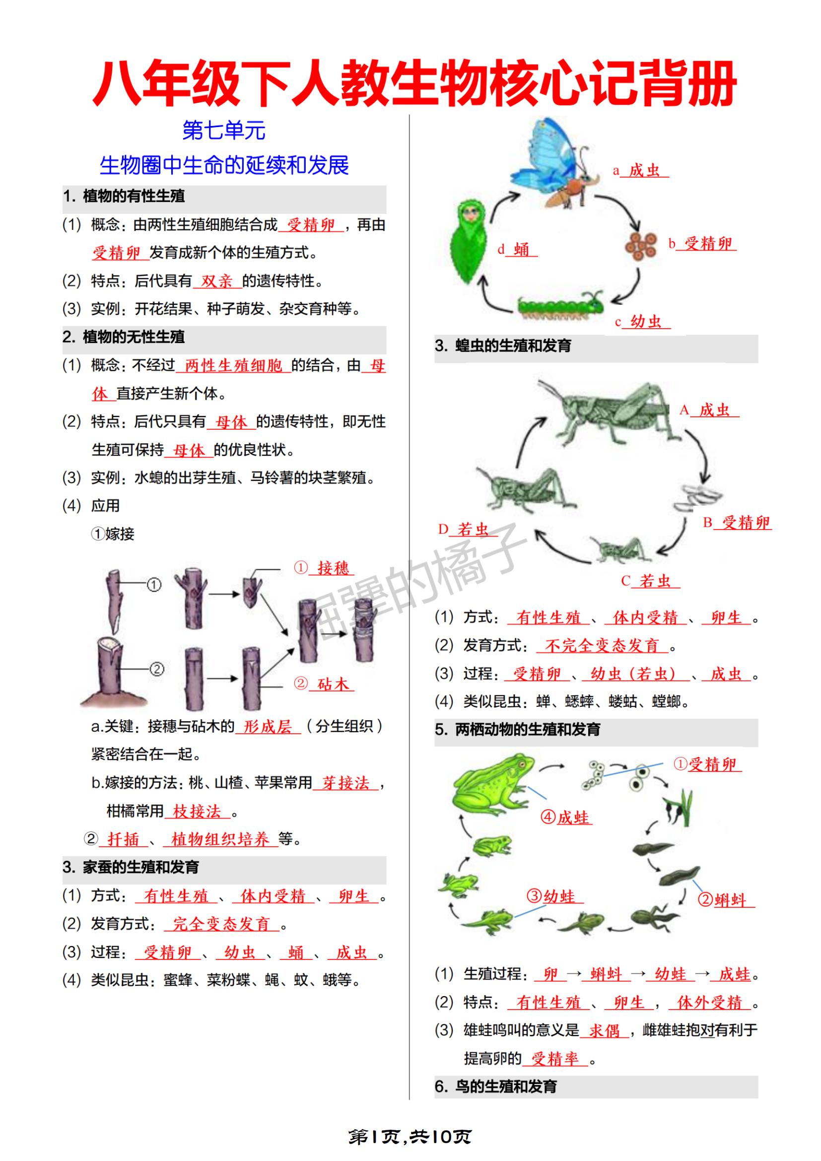 八下生物书62页
  第1张