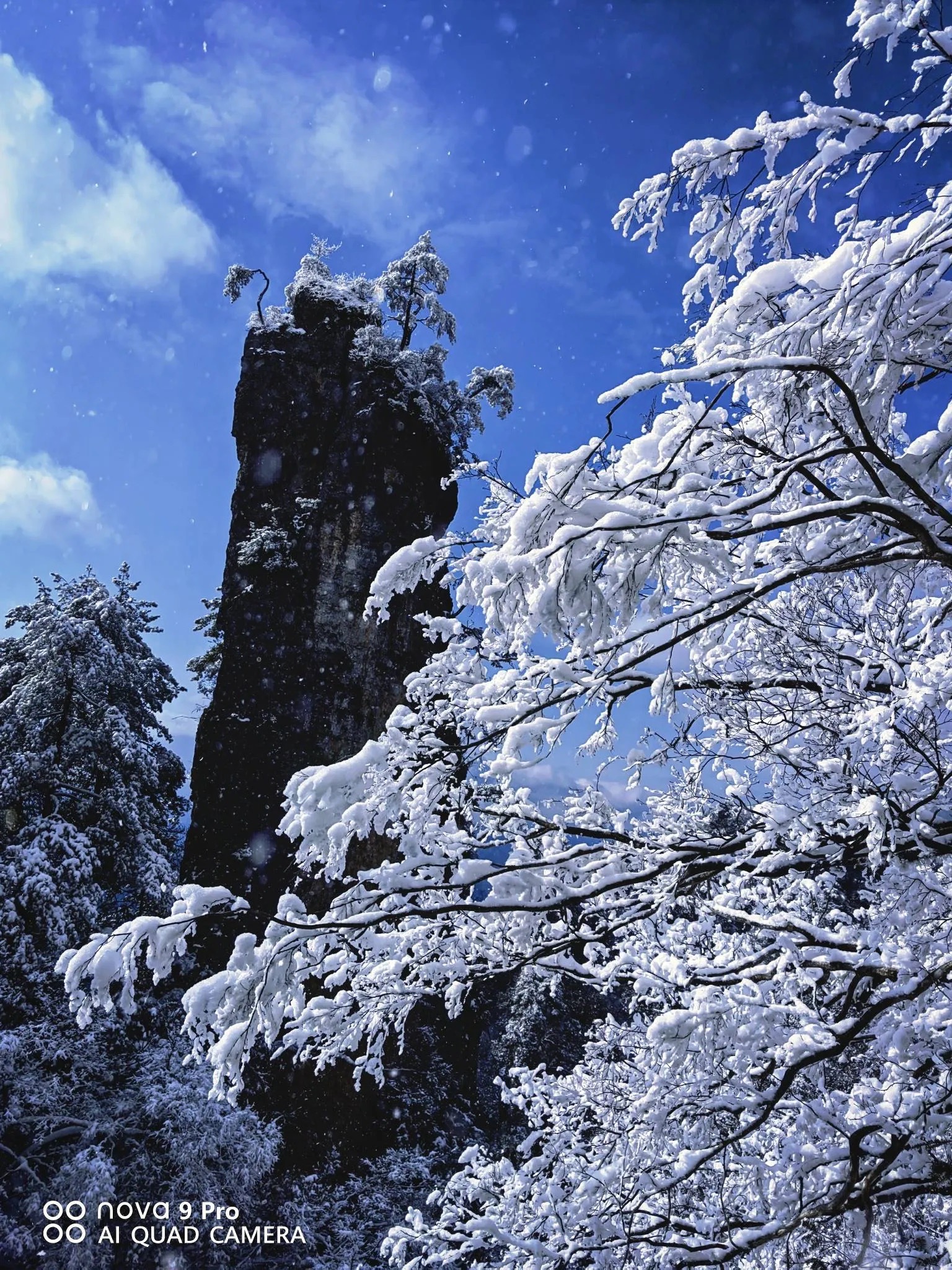 光雾山雪景图片图片