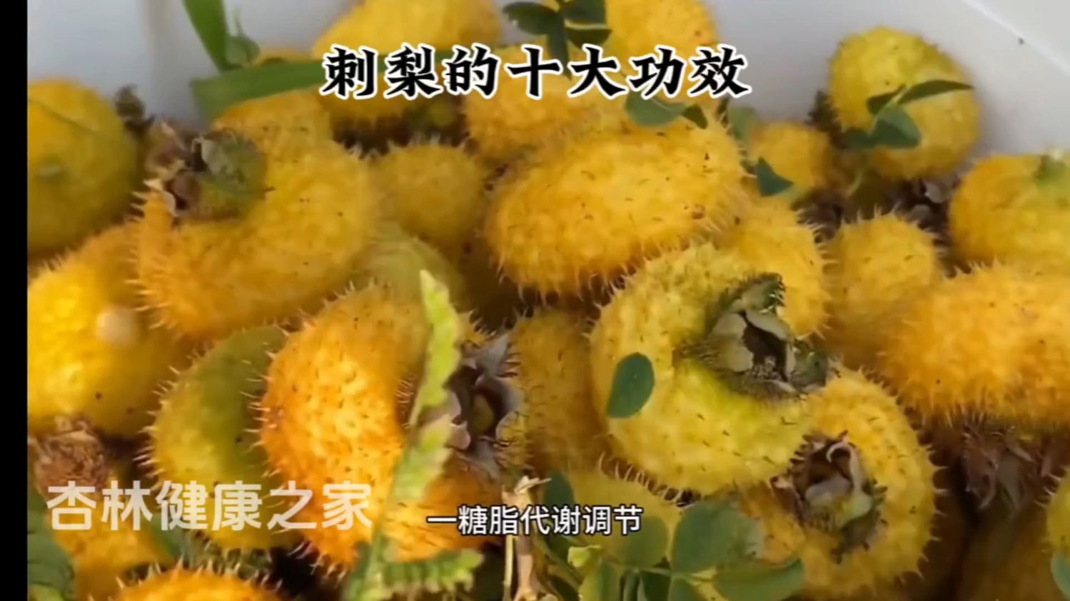 刺梨的十大功效快来看看