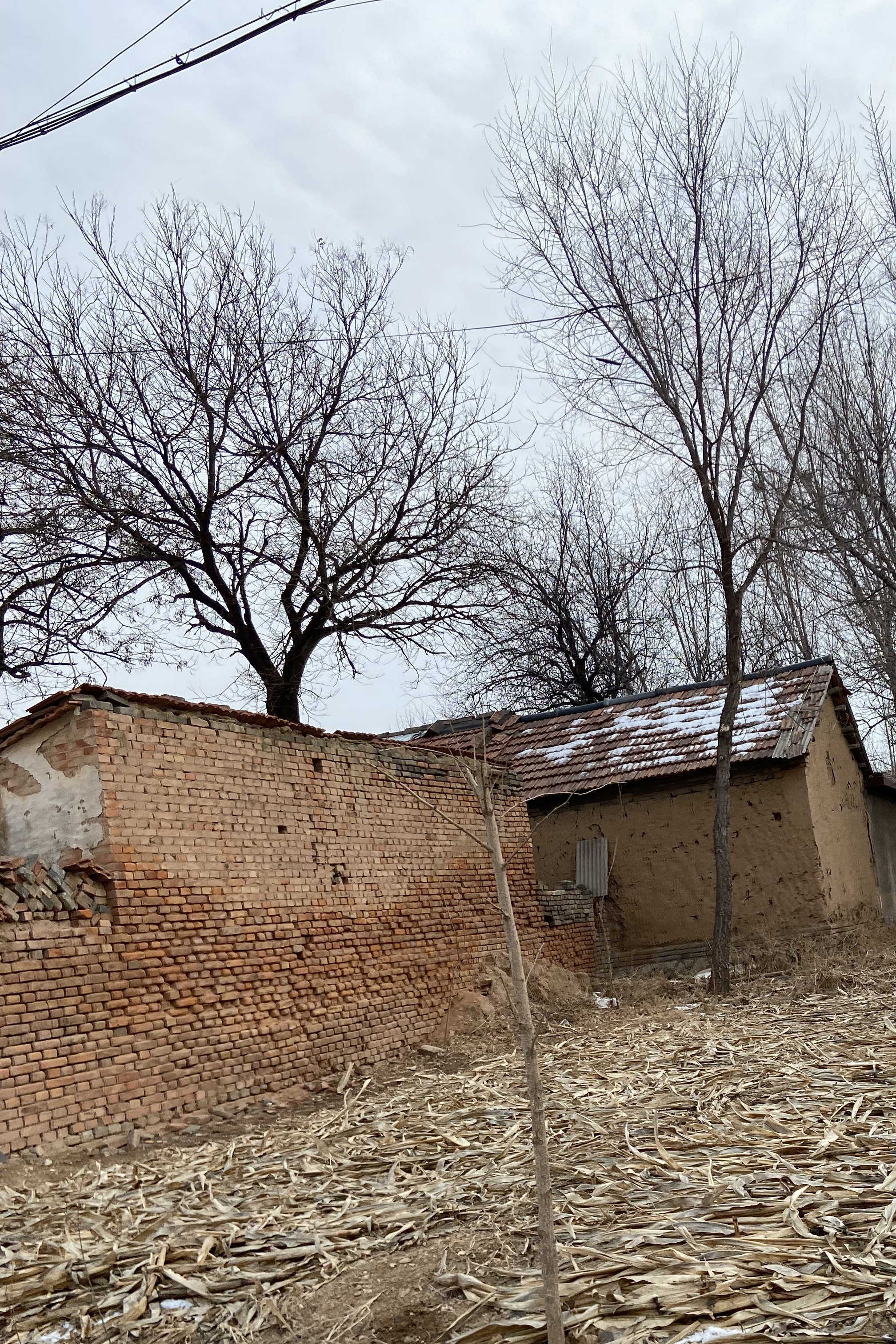 如今村庄冷清,人烟稀少,只剩乡愁与无奈相伴左右