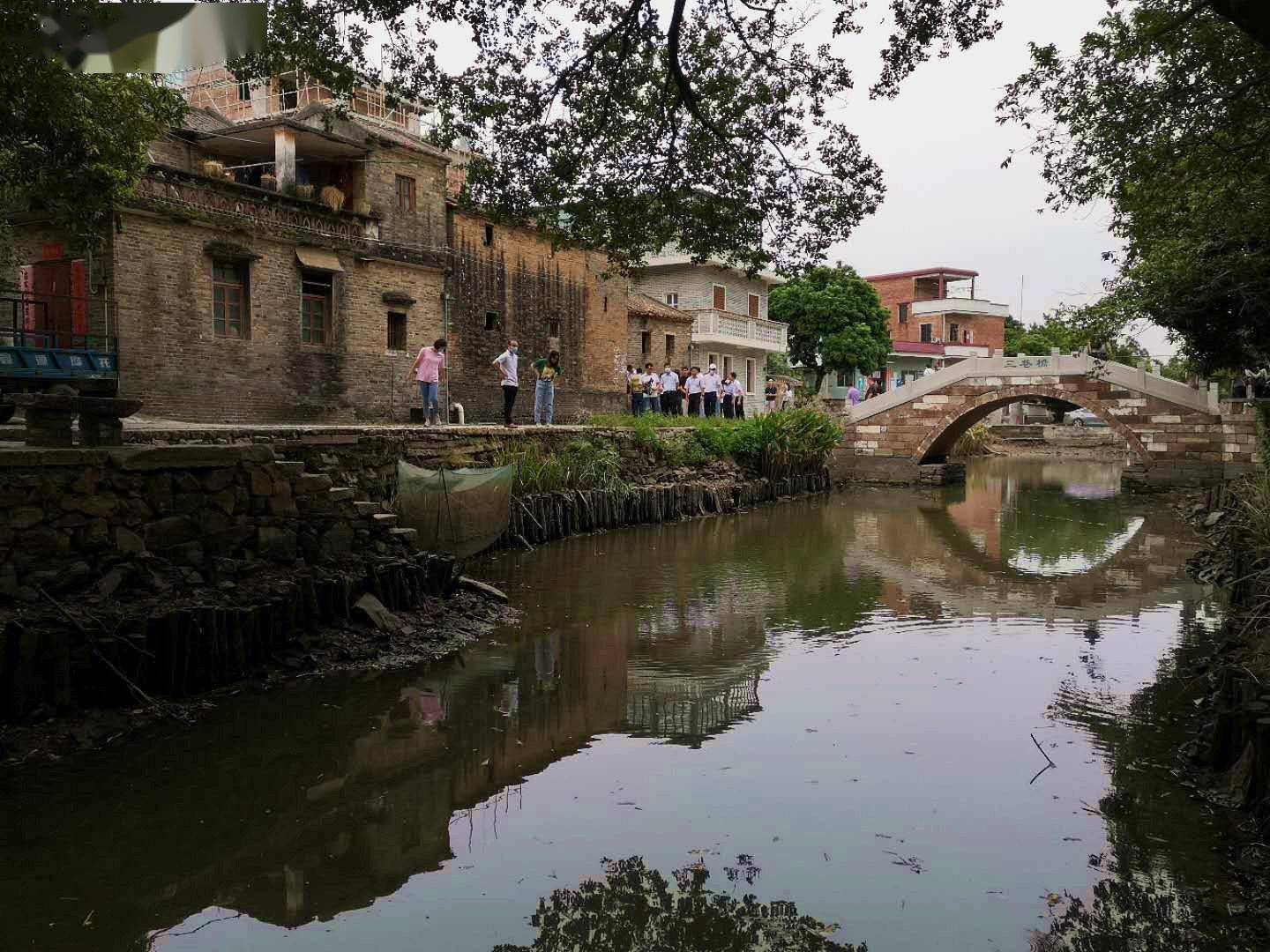 三水白坭全套图片