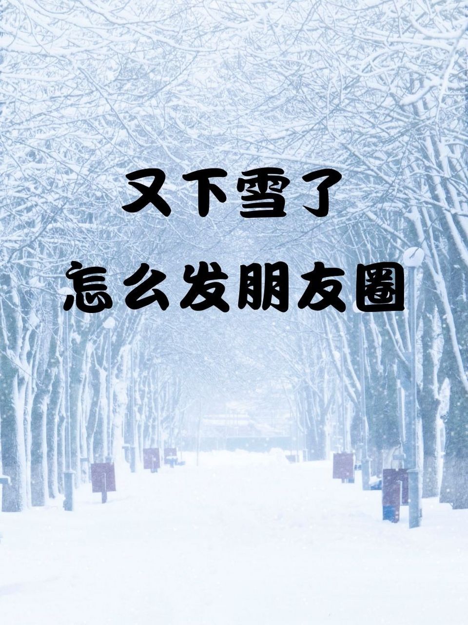 又下雪了怎么发朋友圈☃️�️"雪花飘飘,世界都染上了银装