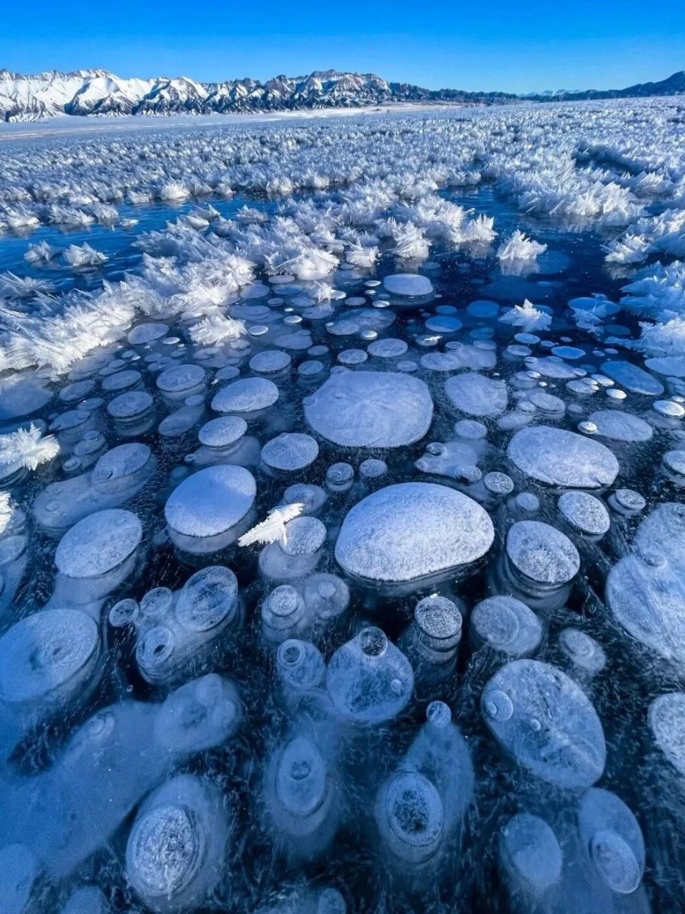 冬天的赛里木湖结冰图片