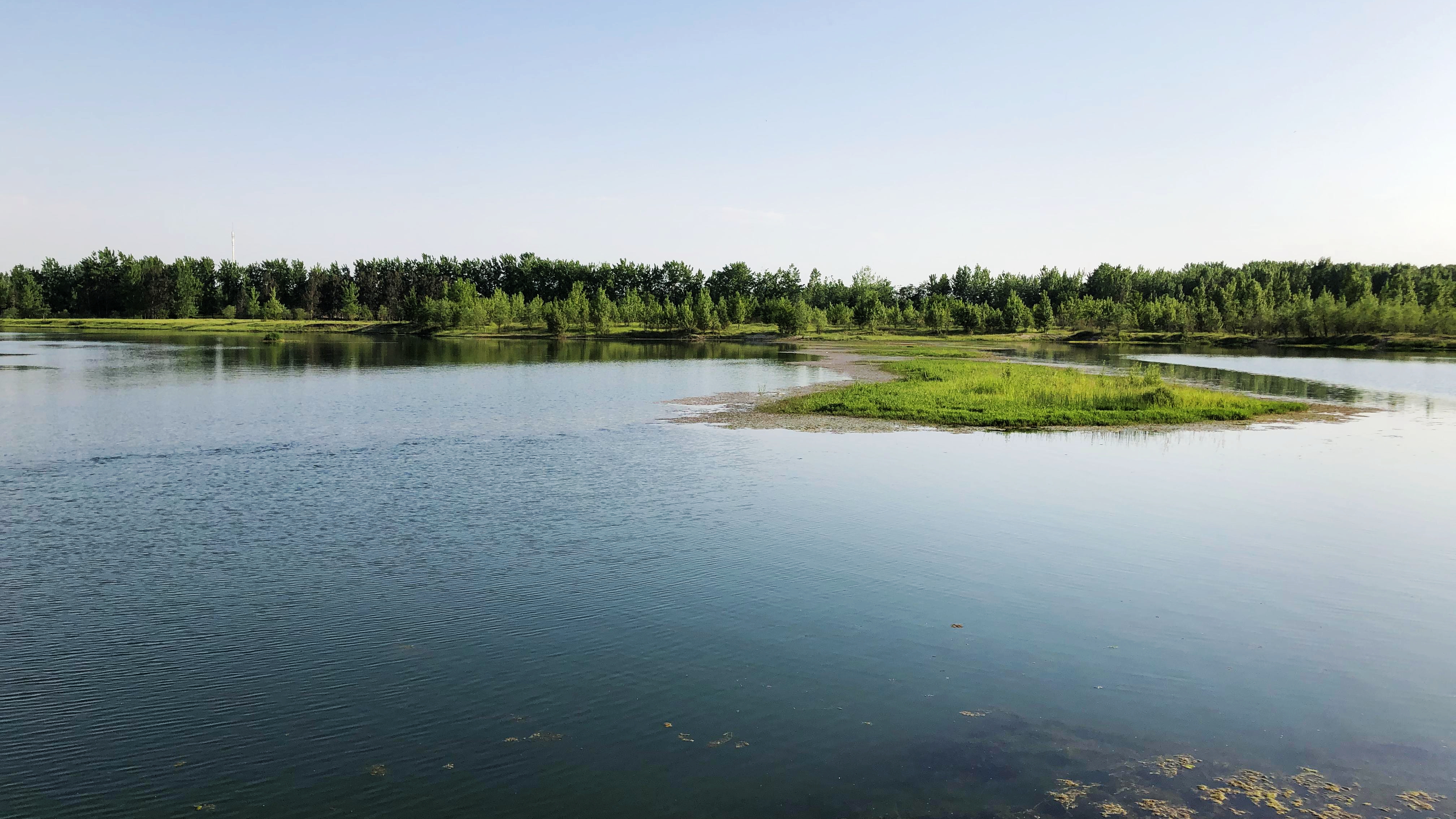 襄阳长寿岛湿地公园图片