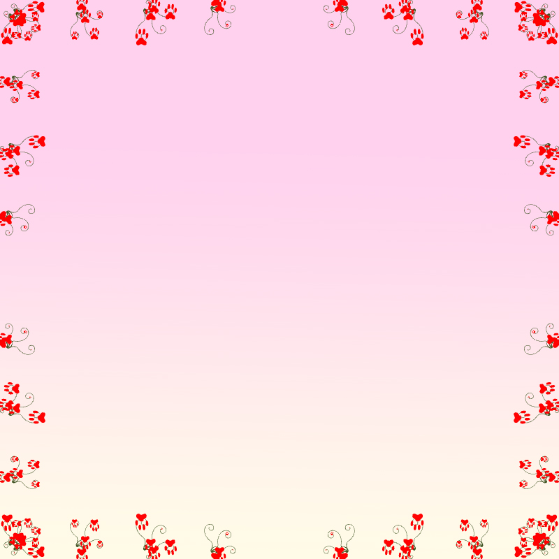 分享给大家几款ps高清边框贴纸可以下载