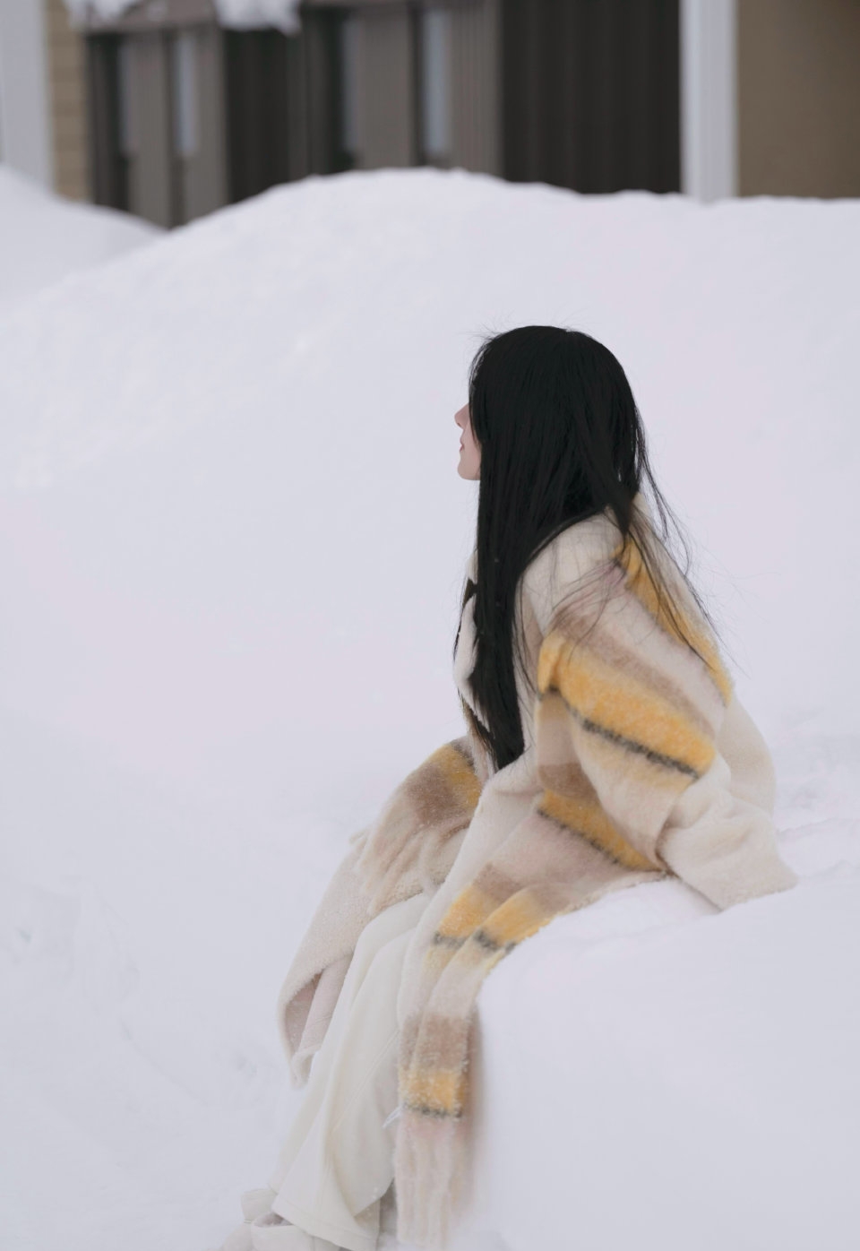 我喜欢美瑛这个大乡村.它美好.静谧. 昨天晚上下了好厚的雪