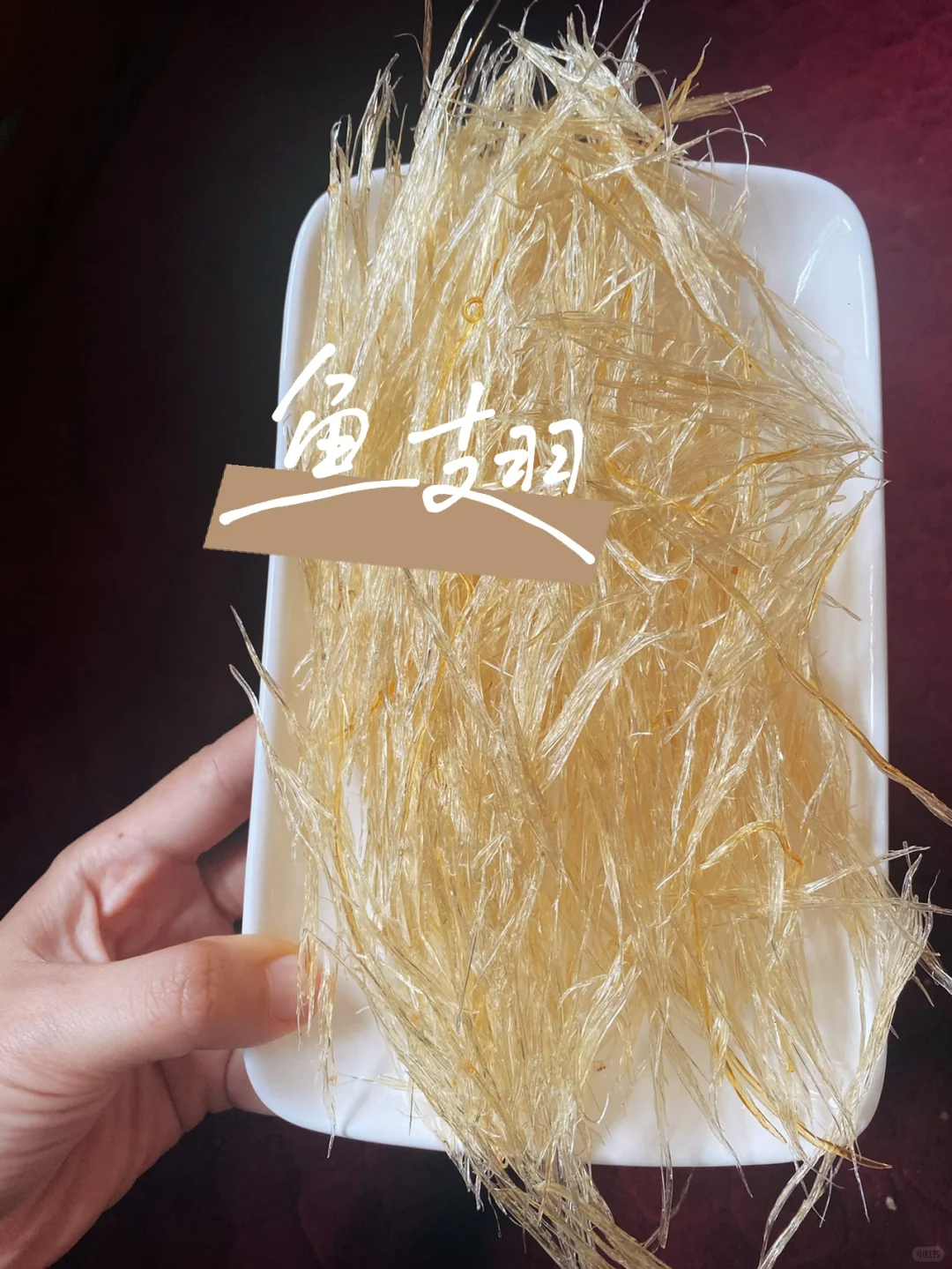 鱼翅是什么鱼的哪个部位:鱼翅:来自鲨鱼鳍的珍稀美味