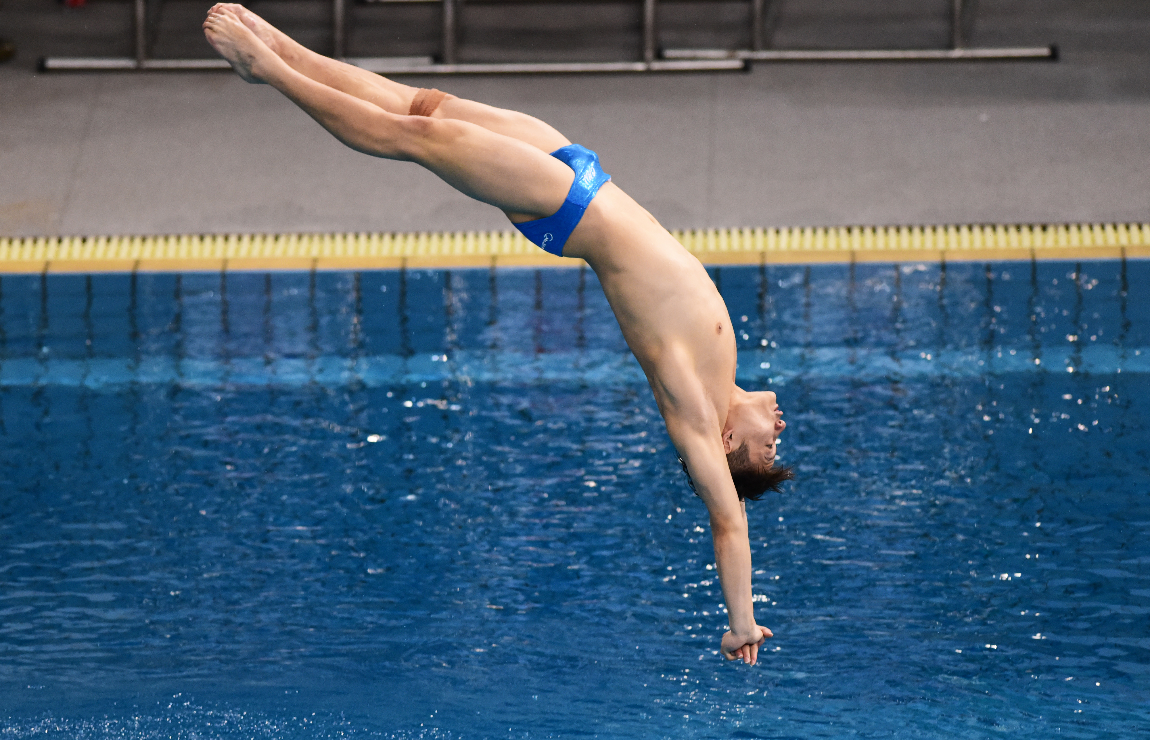 跳水运动员 裤子图片