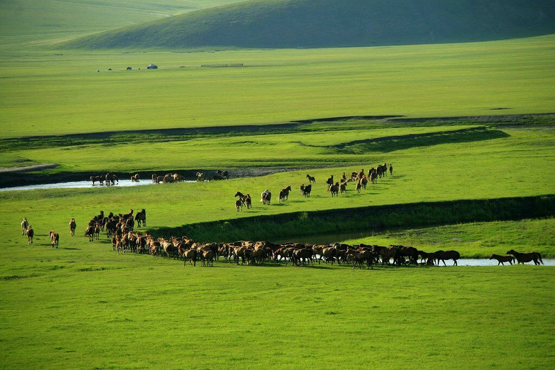 阿尔山,海神等8大养生胜地,草原湖泊任你玩!内蒙古邀您来疗养度假.