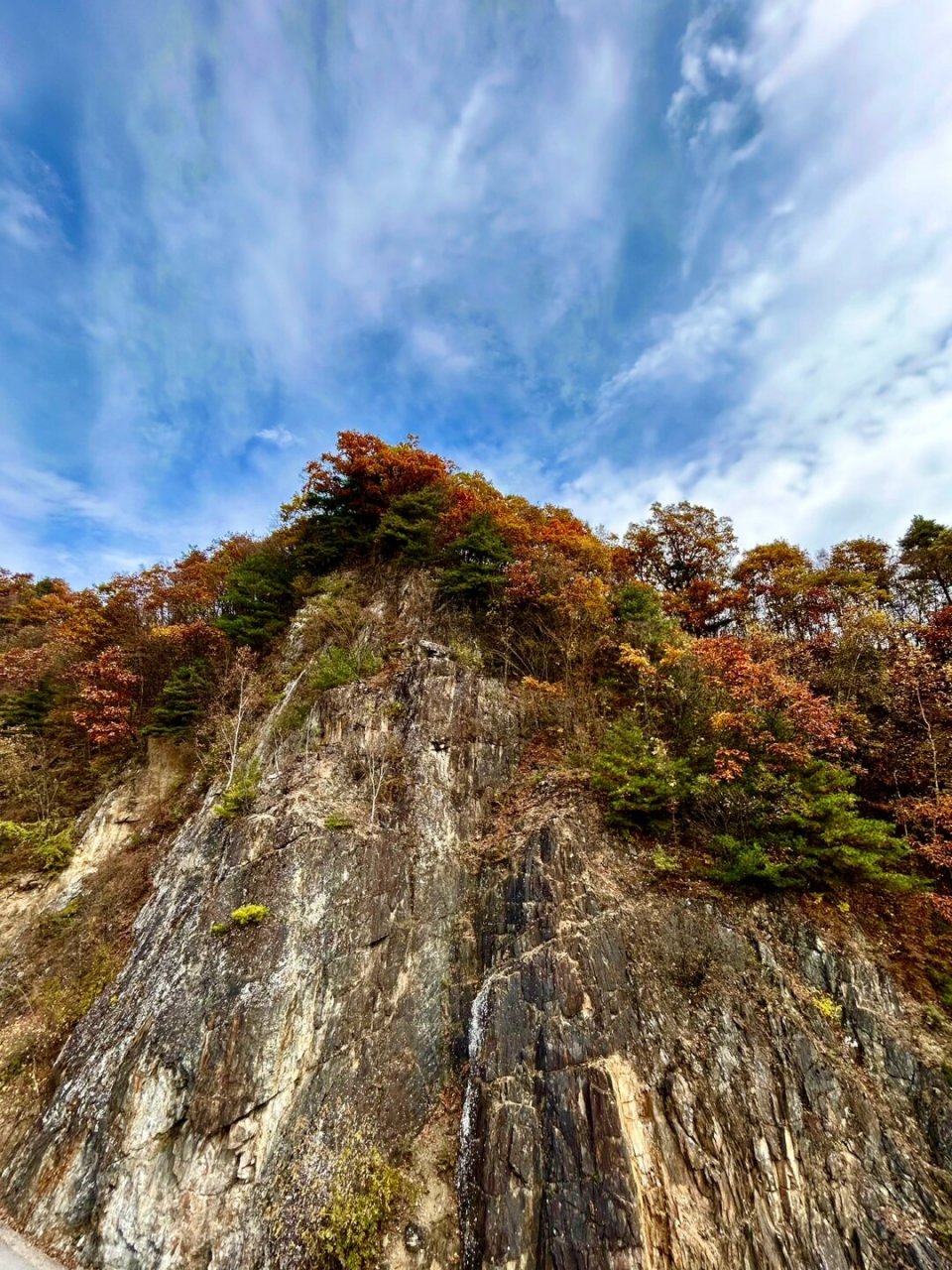 黄花岭——西安1h范围内第二美的赏秋线路  黄花岭,仅仅是名字就让人