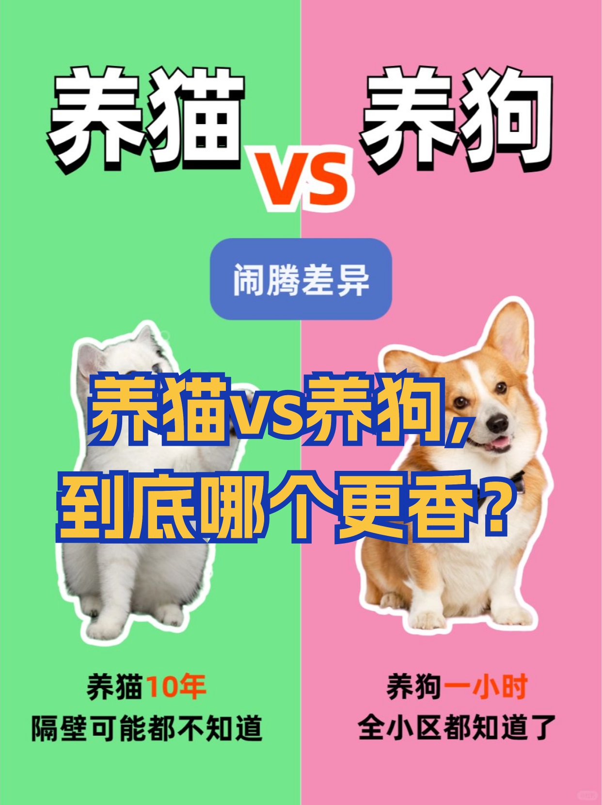 养猫vs养狗,到底哪个更香?