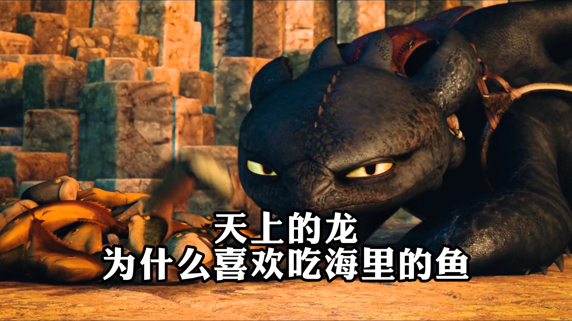 《驯龙高手》,天上的龙,为什么喜欢吃海里的鱼