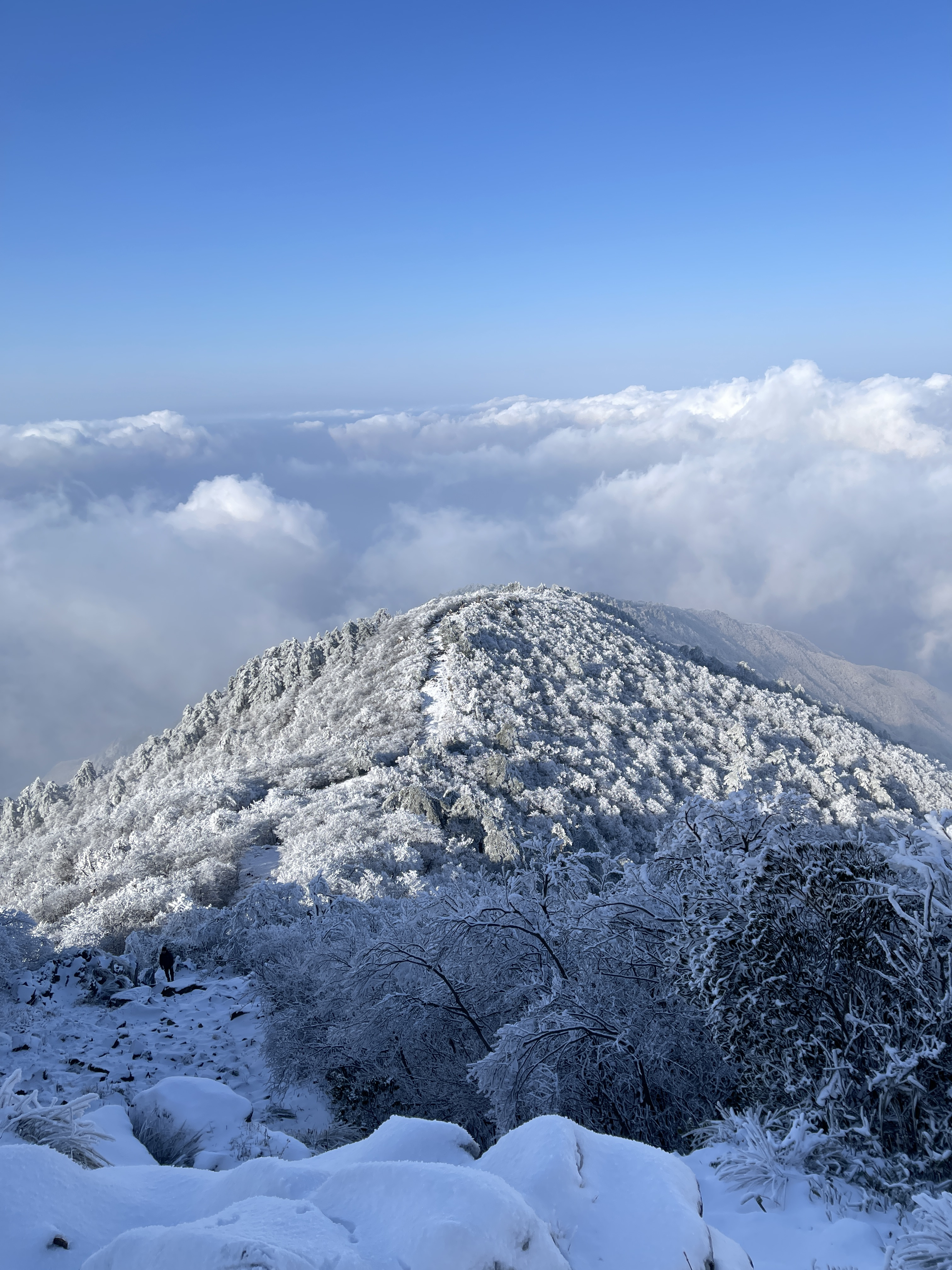 安吉龙王山雪景描写图片