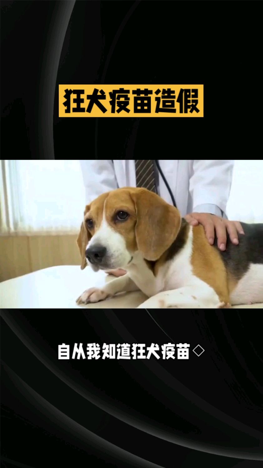 打狂犬疫苗图片造假图片