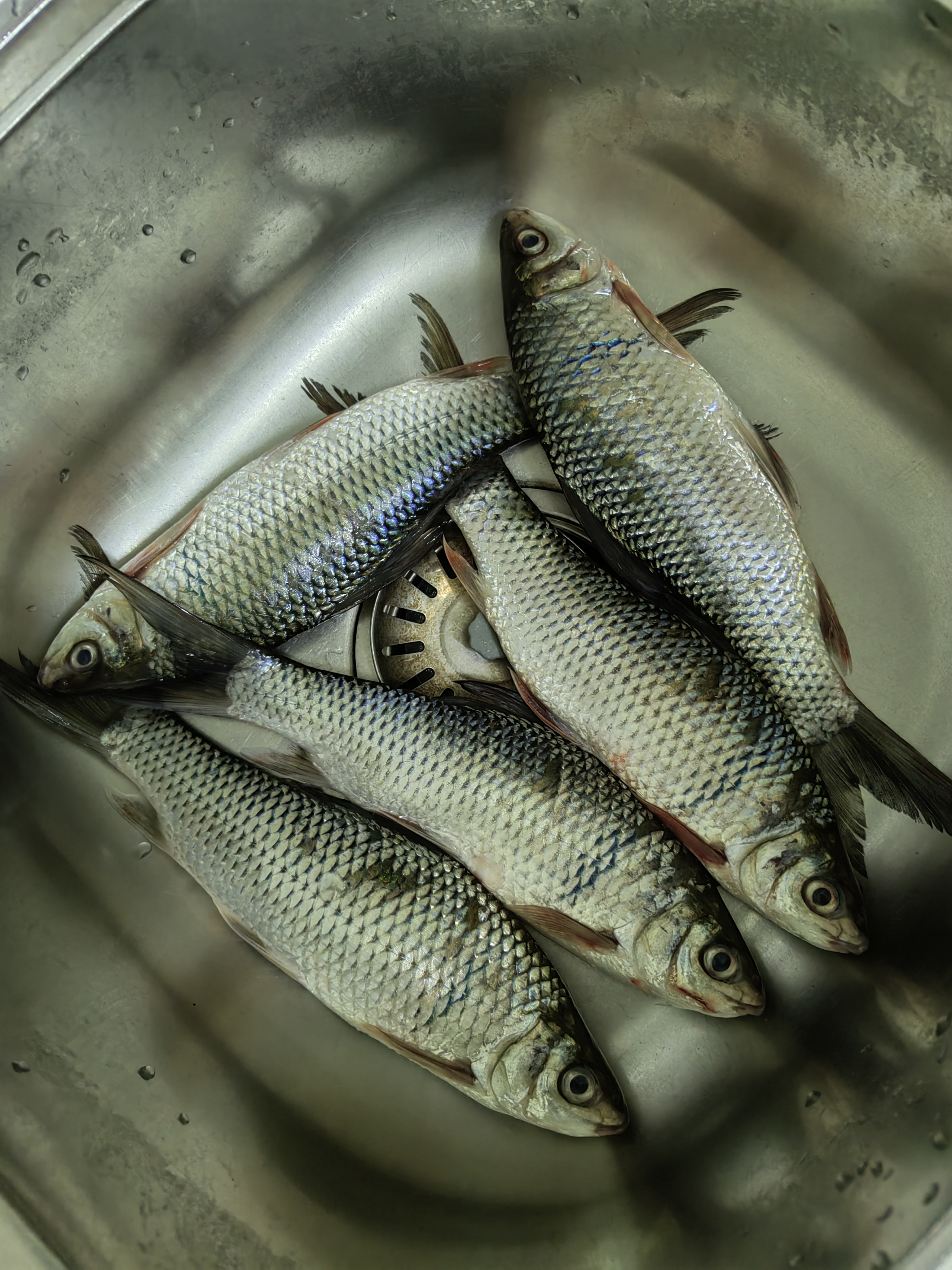这个习俗,在很多地方都存在