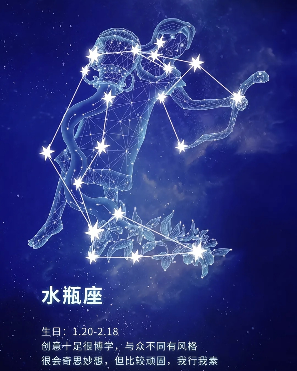 水瓶座的人通常有着强烈的独立思考能力,不喜欢受到束缚和限制,喜欢