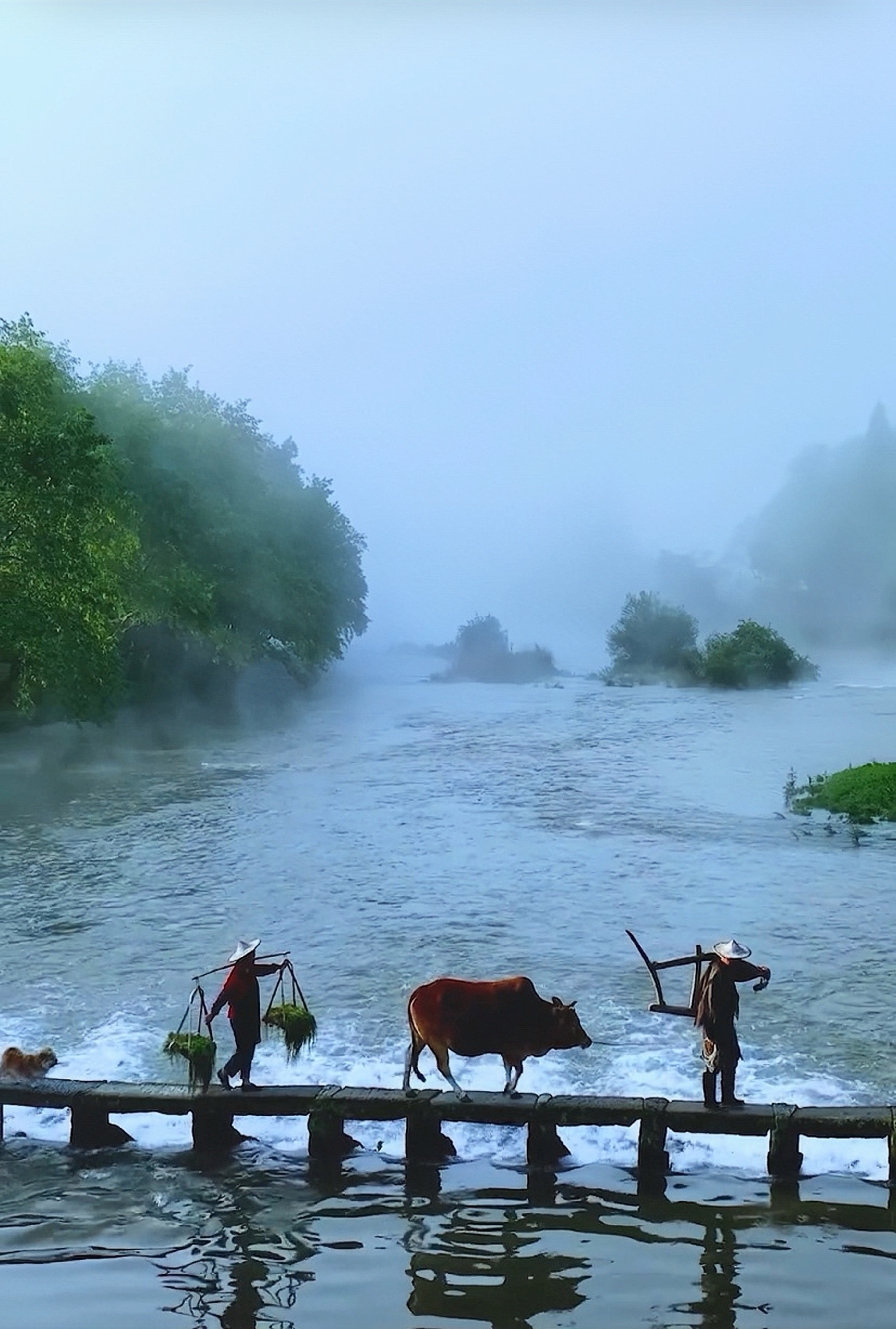 比起来日可期,我更喜欢如约而至