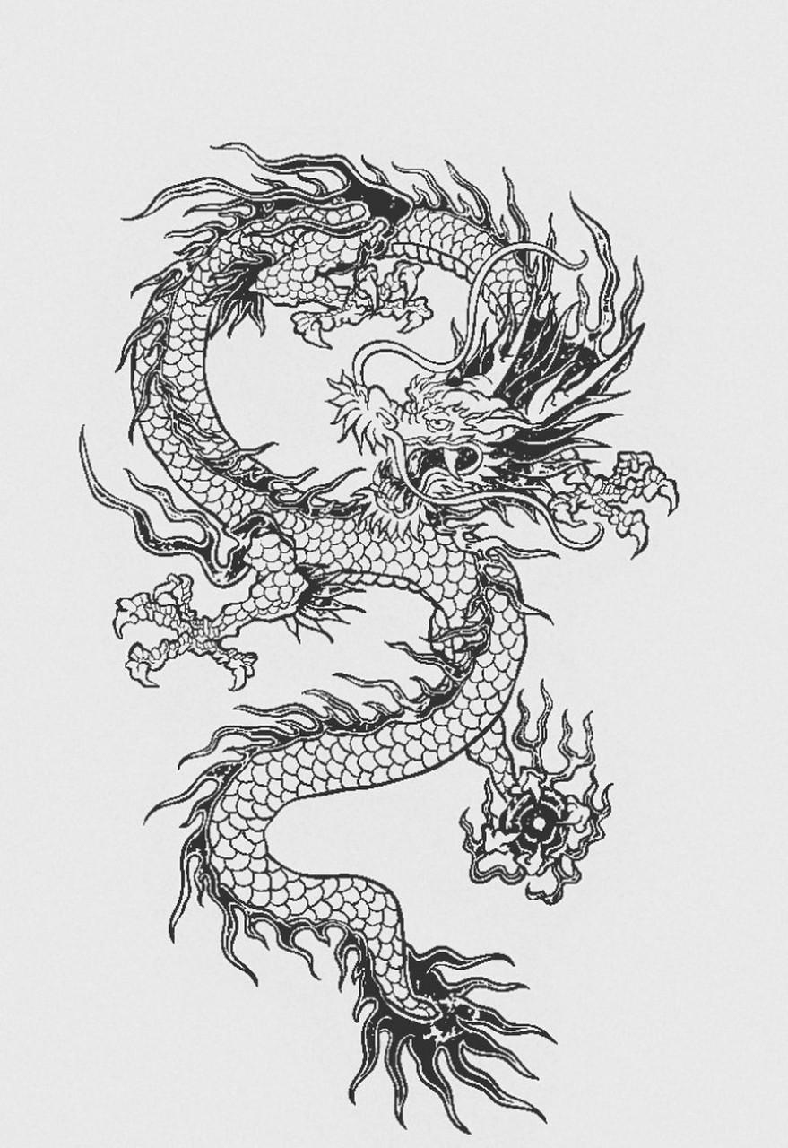 中国龙叫loong而不是dragon,话说中华有神龙!  #2月图文动态激励计划