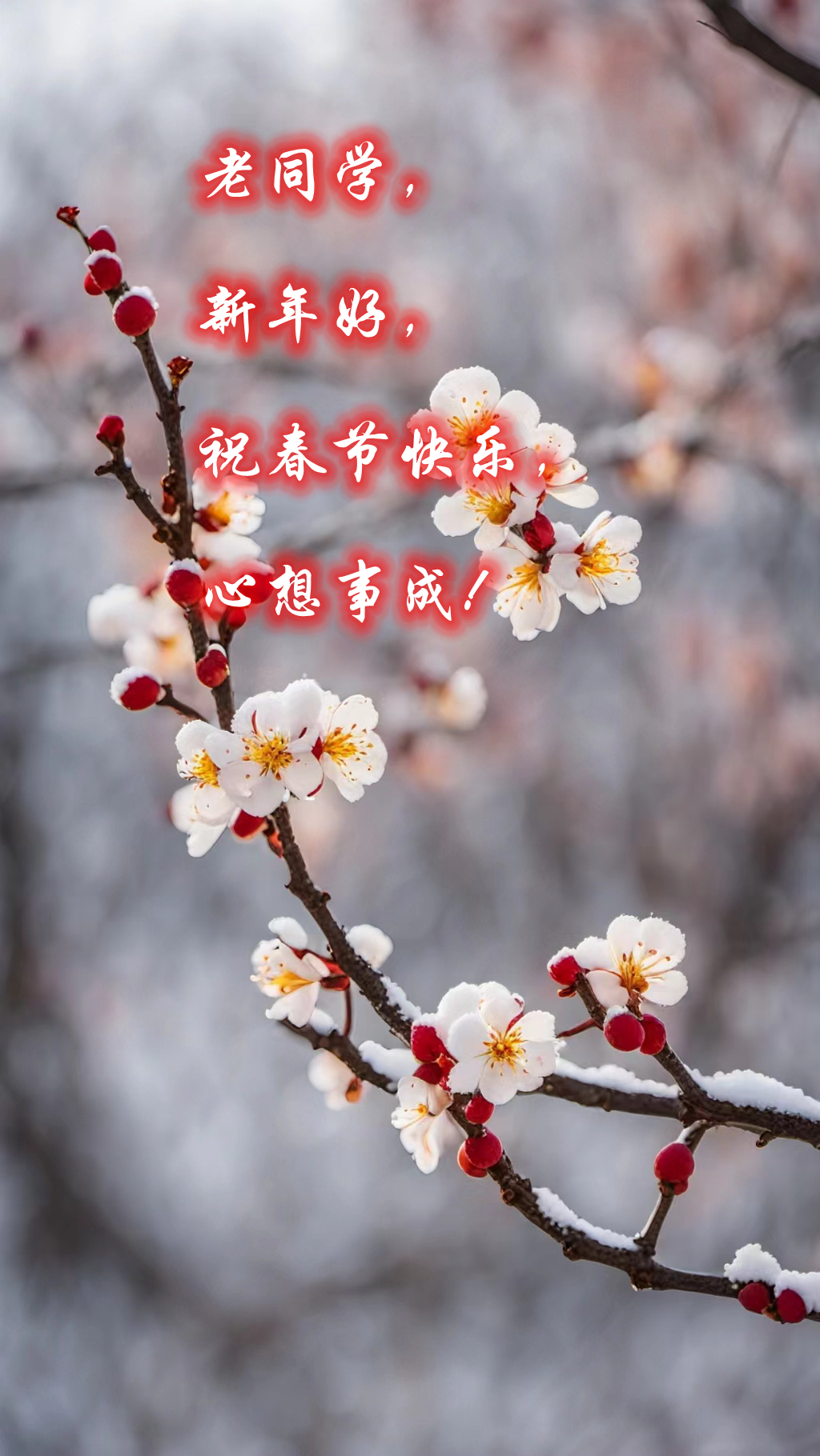 新春的祝老同学新年好图片老同学春节快乐图片大全同学们新年祝福图片