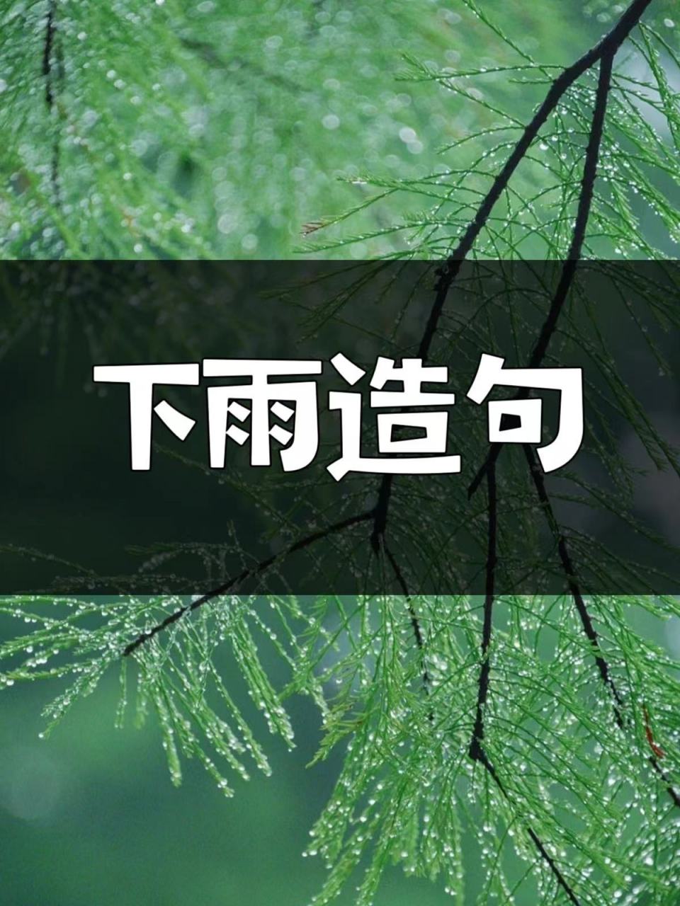 下雨天图片唯美句子图片