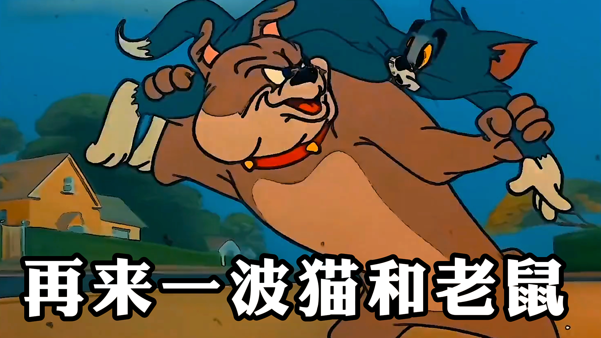 《猫和老鼠》,再来一波猫和老鼠