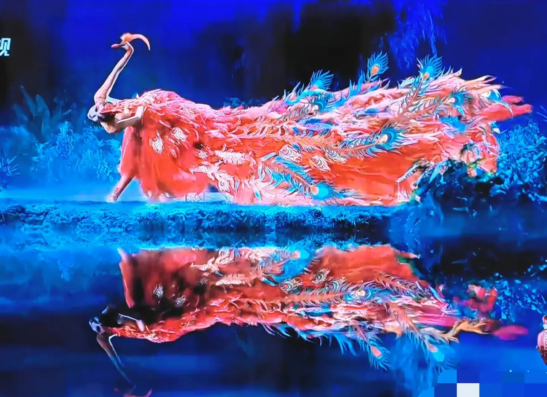 特别是杨丽萍老师的孔雀舞,令人惊叹!