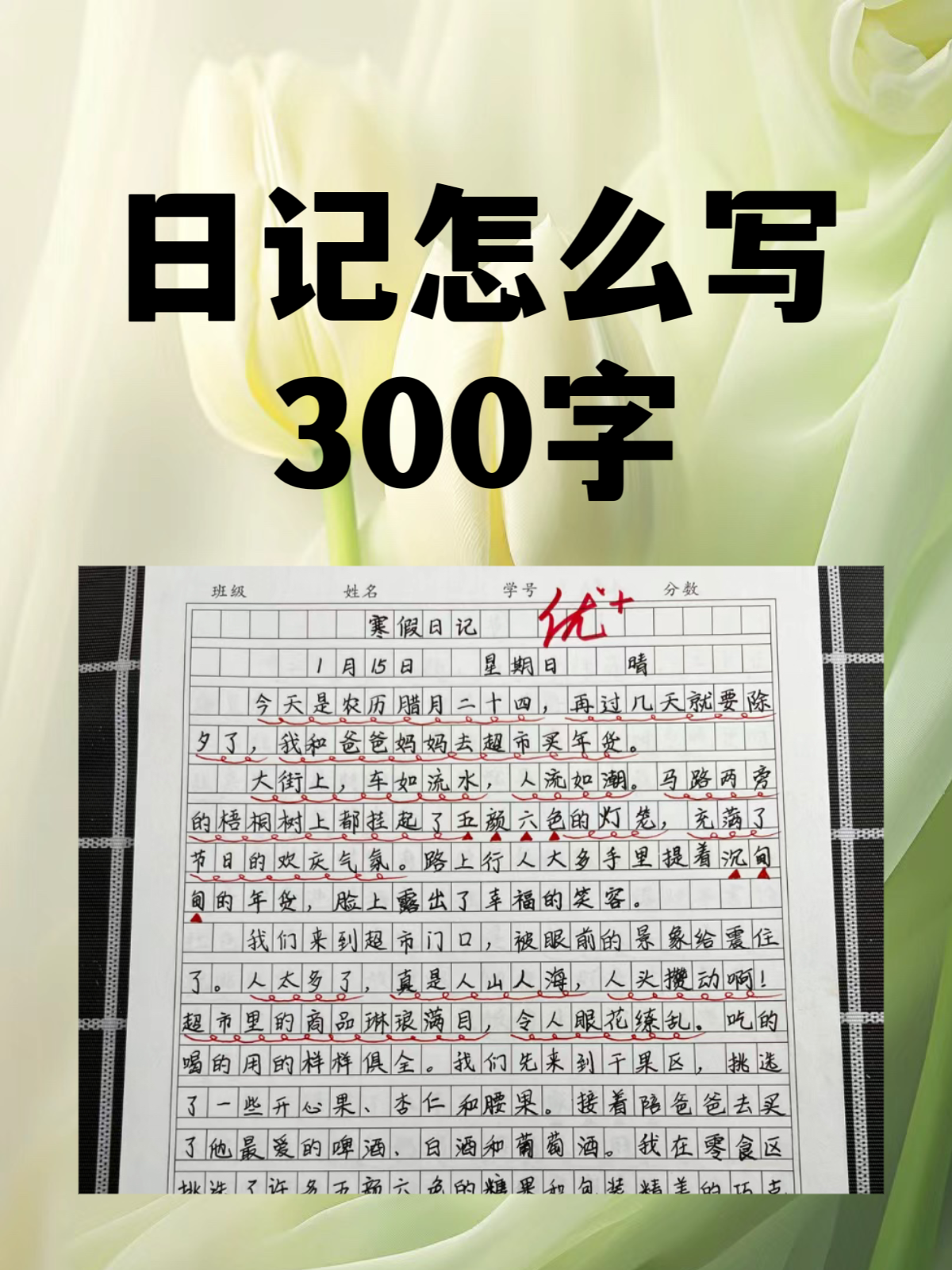 今天我们来看看日记的写作格式,要求和注意事项,以下是我个人的书写