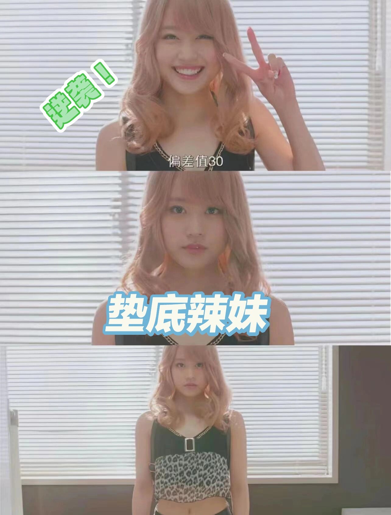 再小的鸟,也有资格自由飞翔