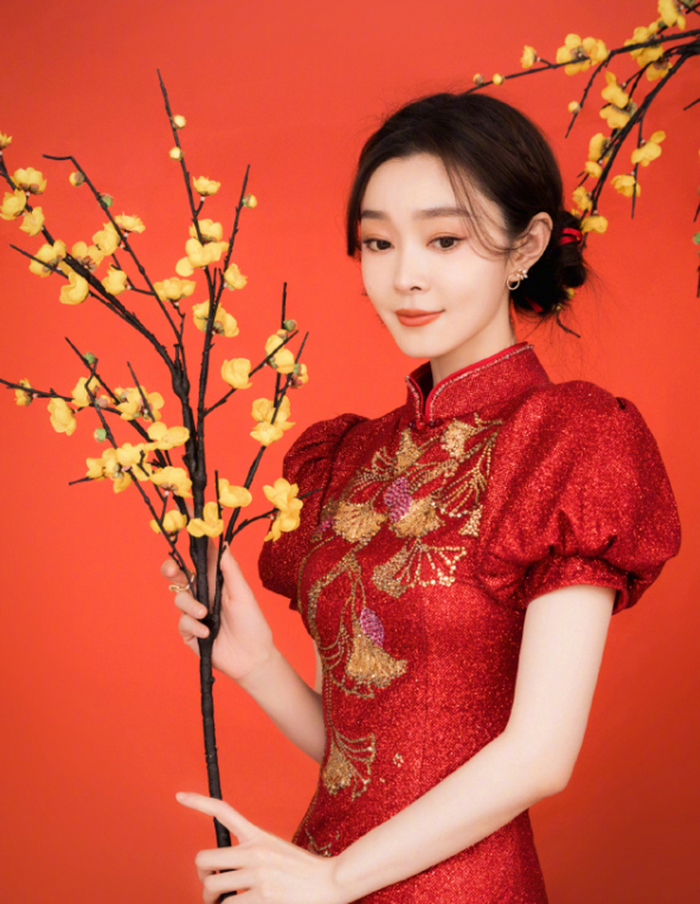 宋轶的新春旗袍照,好好看!