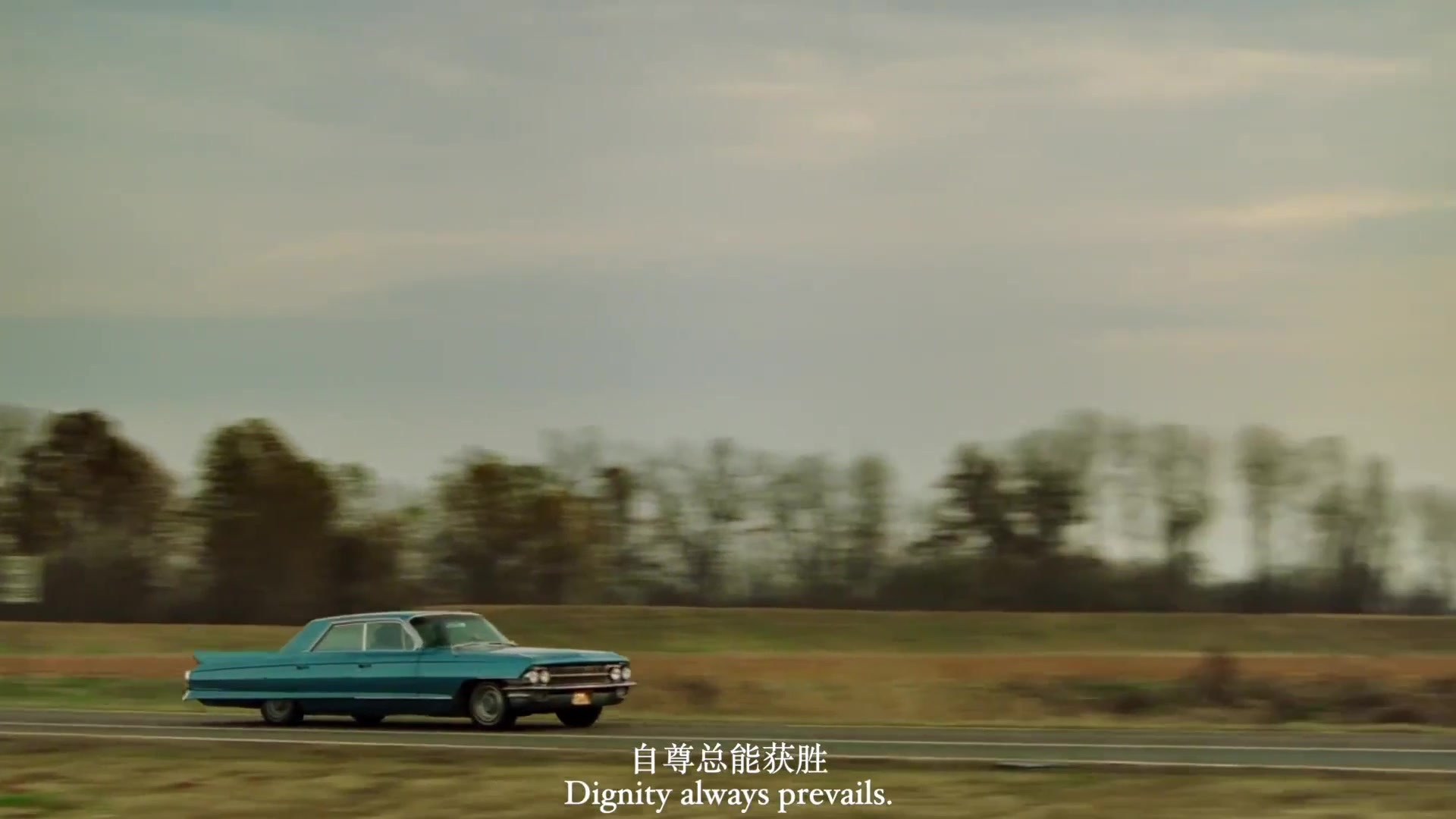 《绿皮书》,两种人生,一段旅程