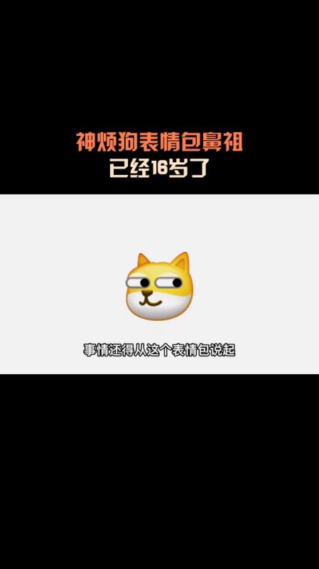 神烦狗表情包鼻祖已经16岁了