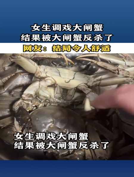 女生调戏大闸蟹结果被大闸蟹反杀了网友结局令人舒适