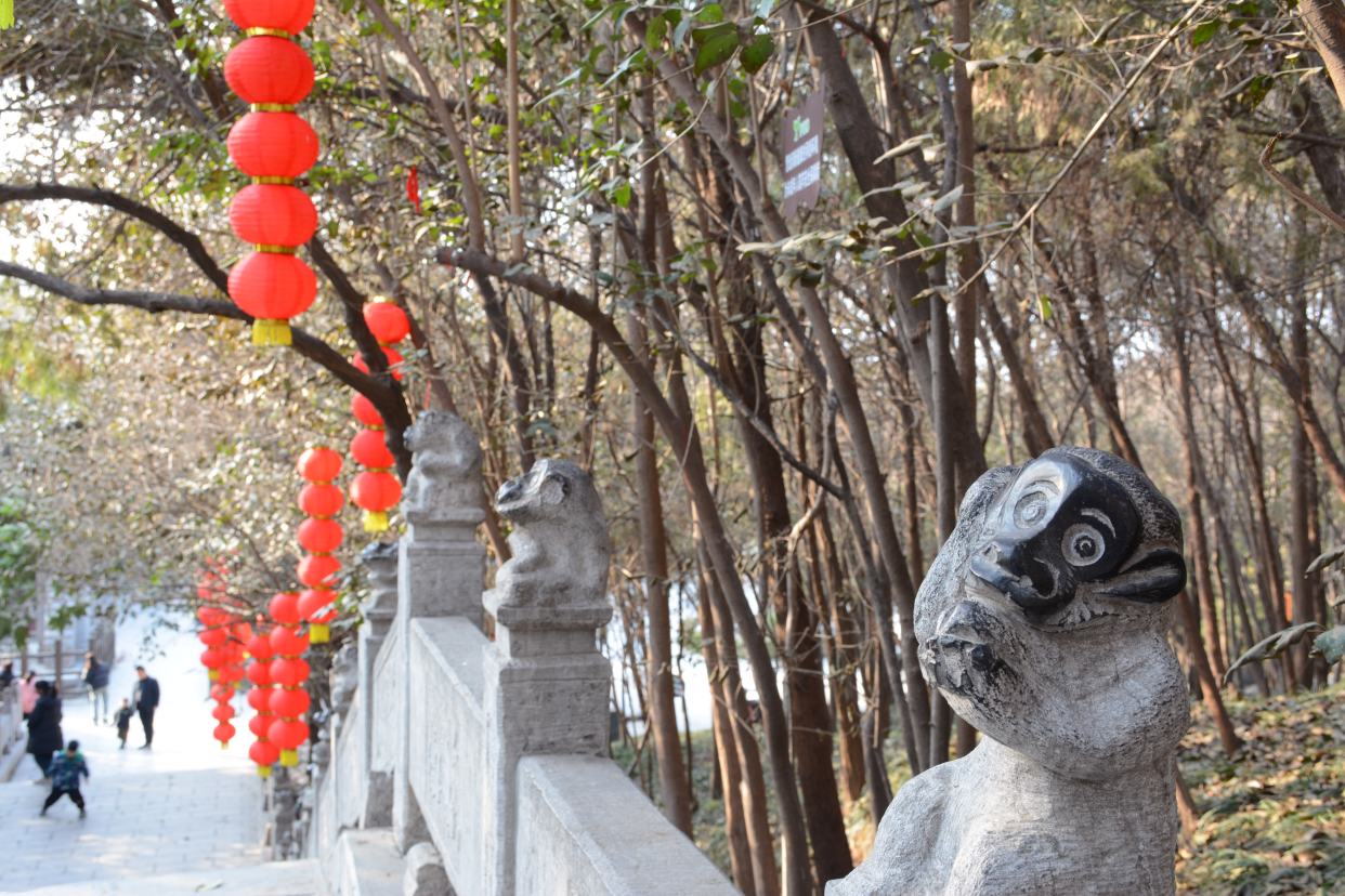 春暖中原 老家河南|浚县大伾山百猴路喜气洋洋