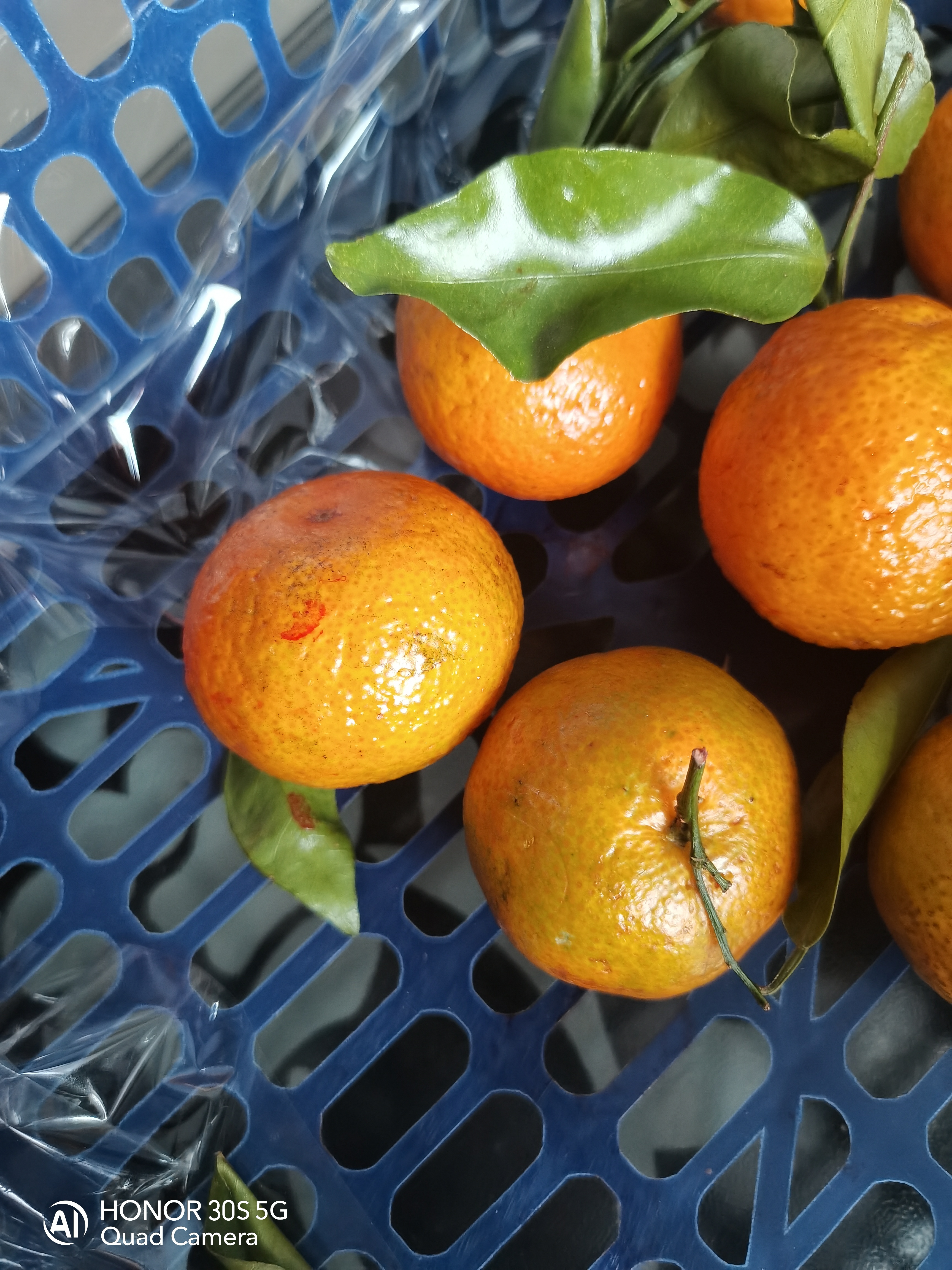 今年的沙糖桔感觉基本都不甜,而且上面有这种红色药水,有知道这是什么