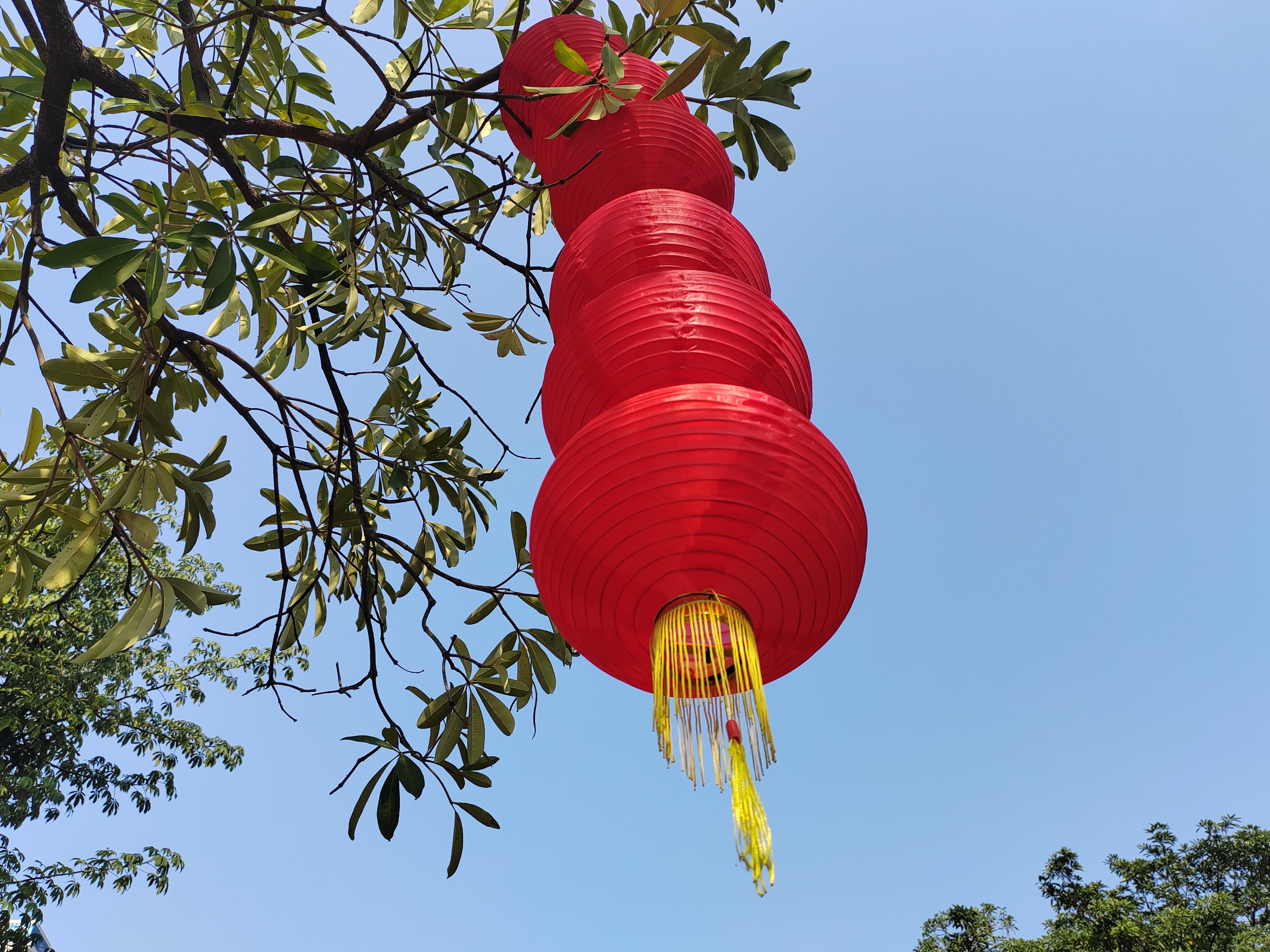 红灯笼,象征着中国春节的喜庆与祥和,是年味儿最浓重的一抹色彩.