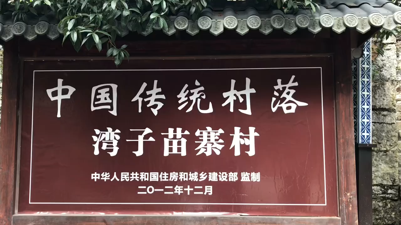 威信水田图片